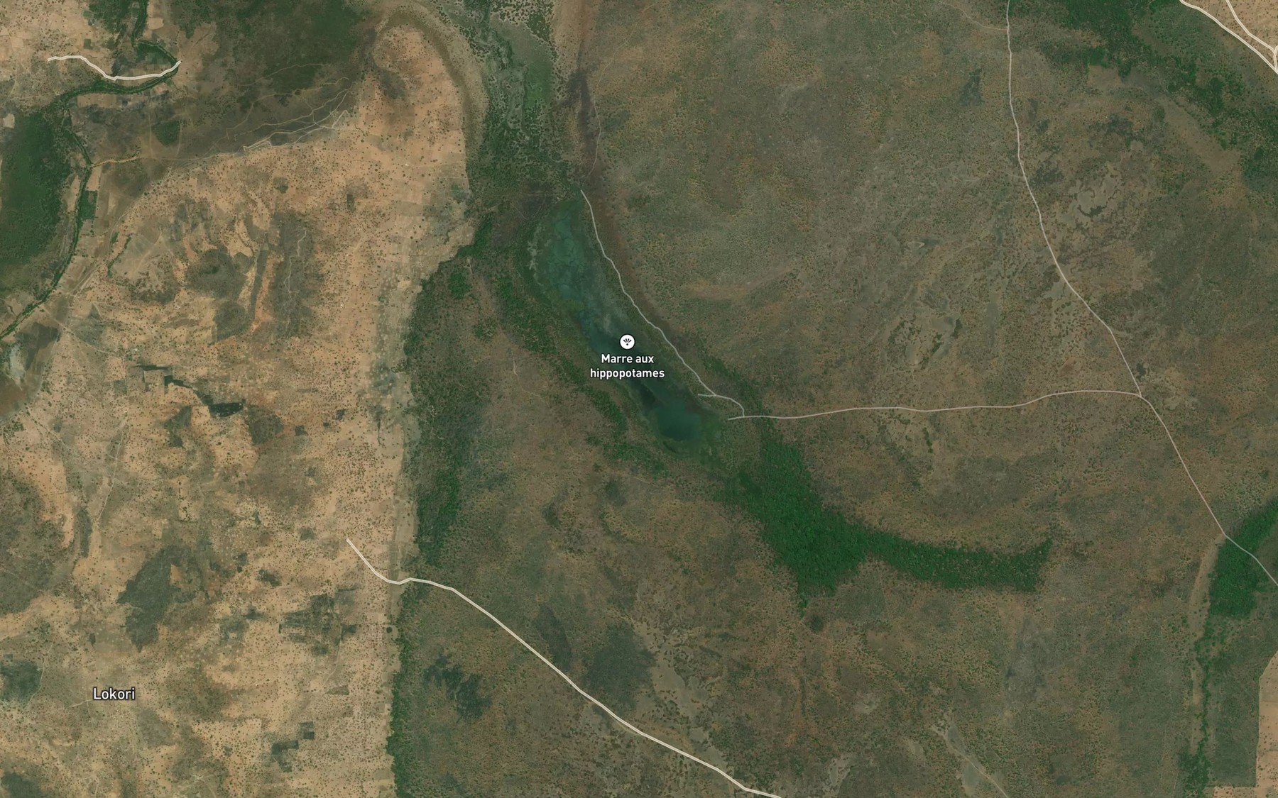 Satellite map of the Mare aux Hippopotames