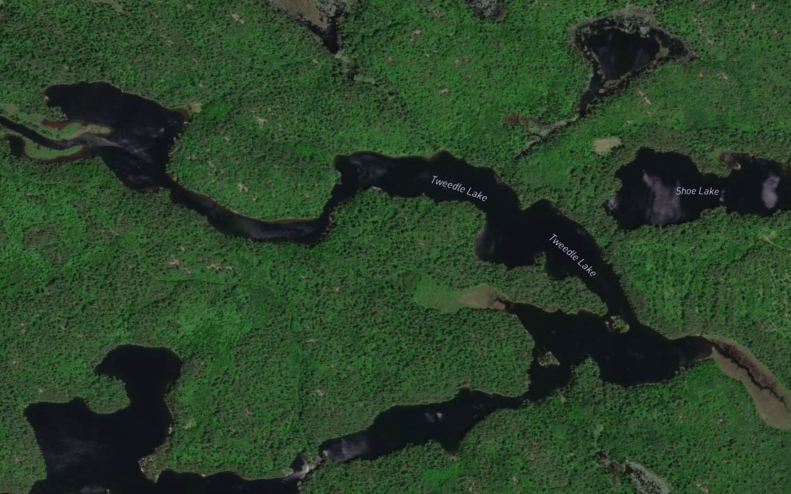 Tweedle Lake