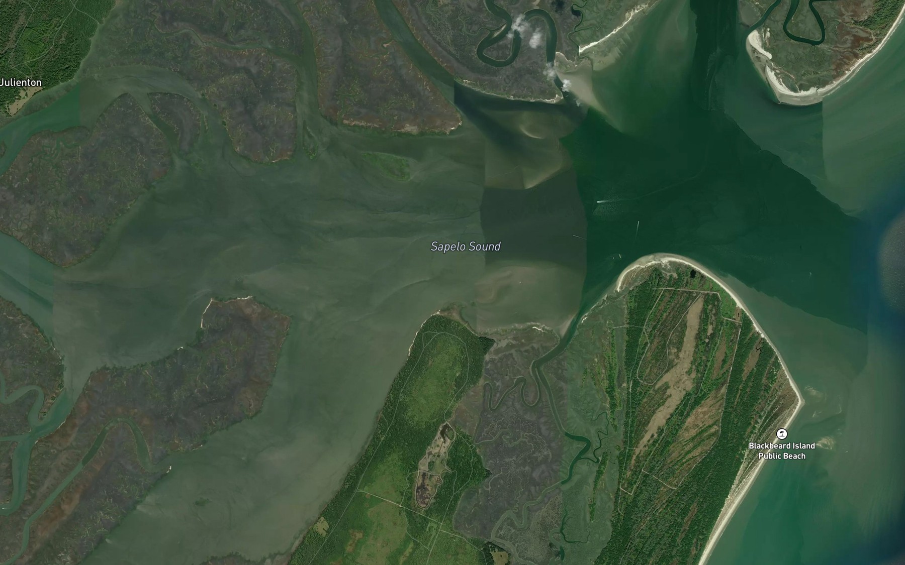 Satellite map of the Sapelo Sound