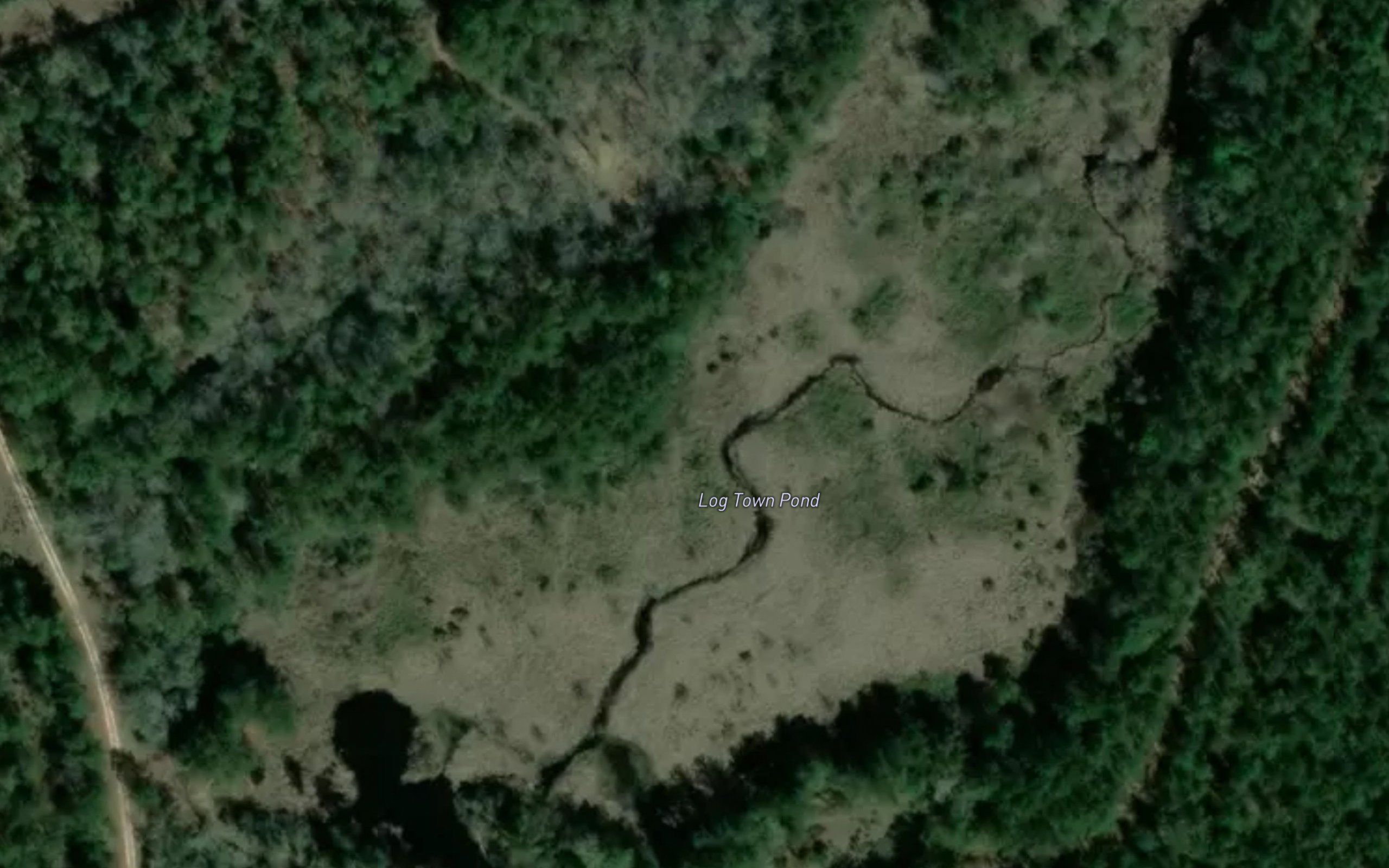 Log Town Pond