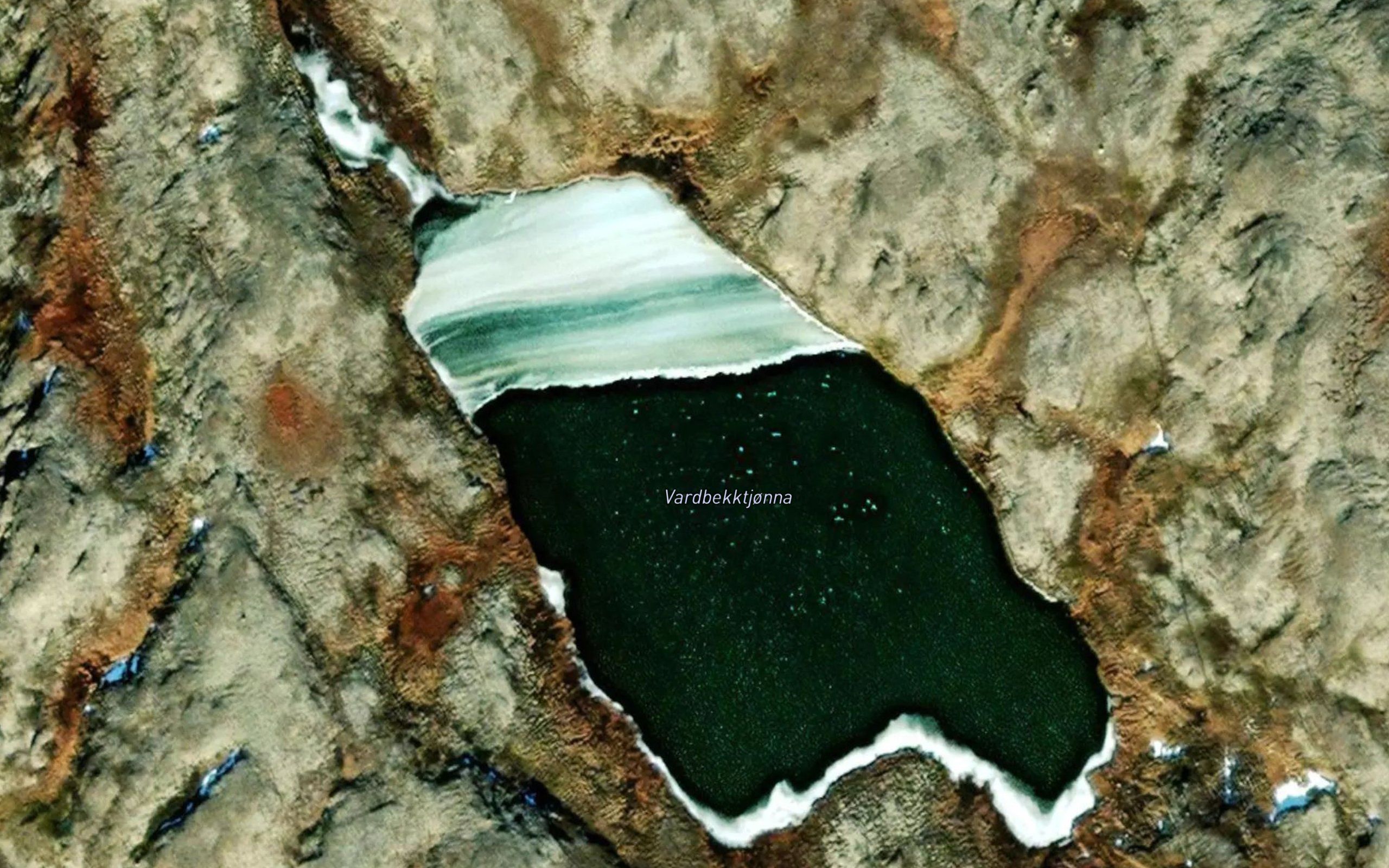 Vardbekktjorna