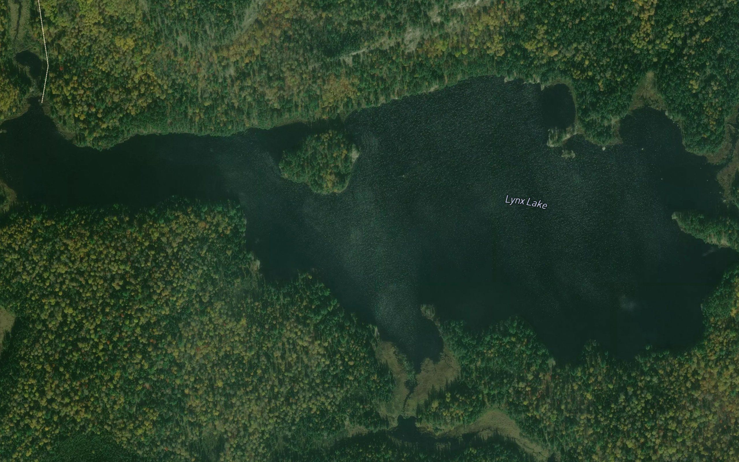 Lynx Lake