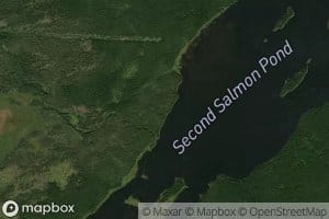 Second Salmon Pond