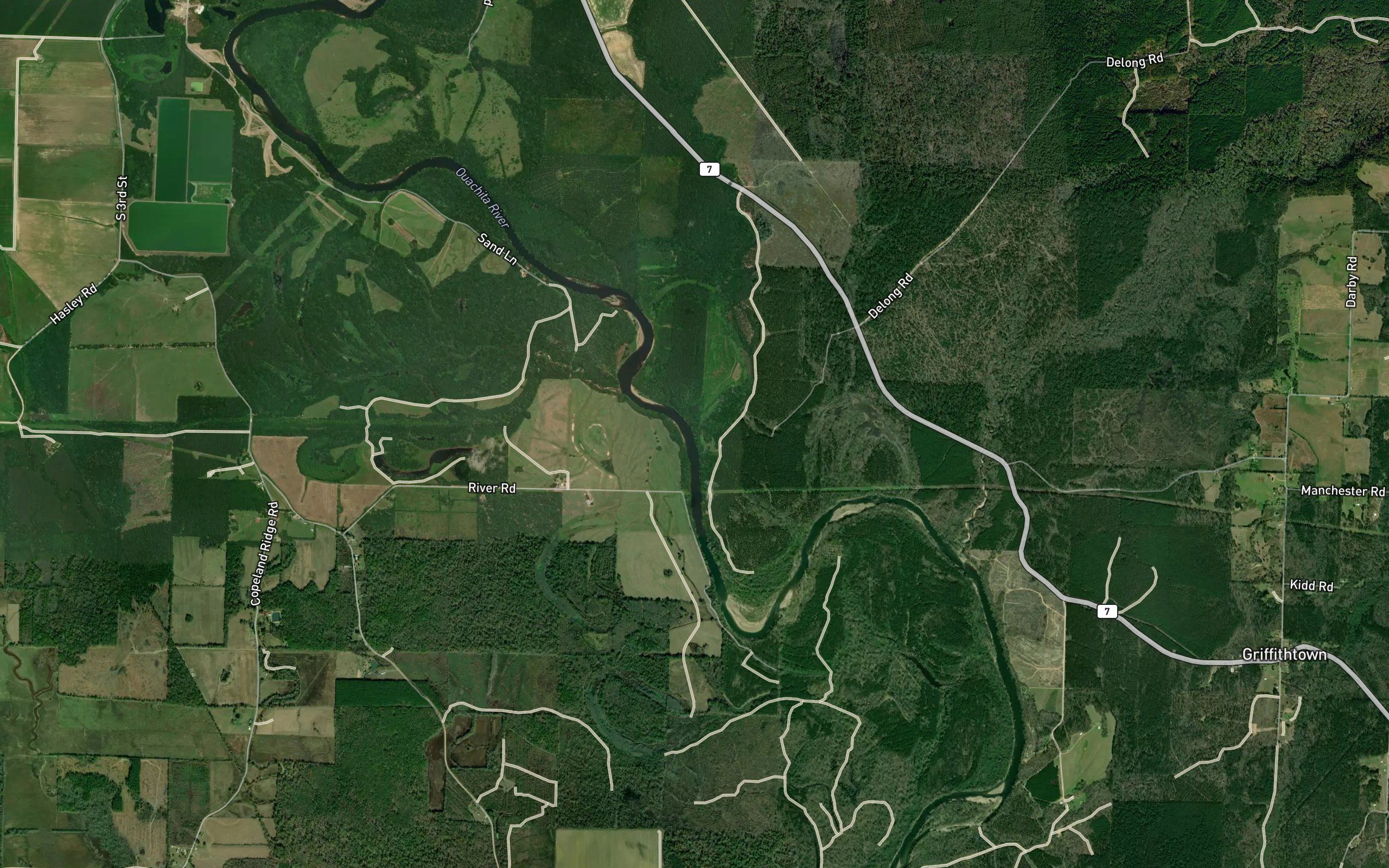 Tupelo Creek