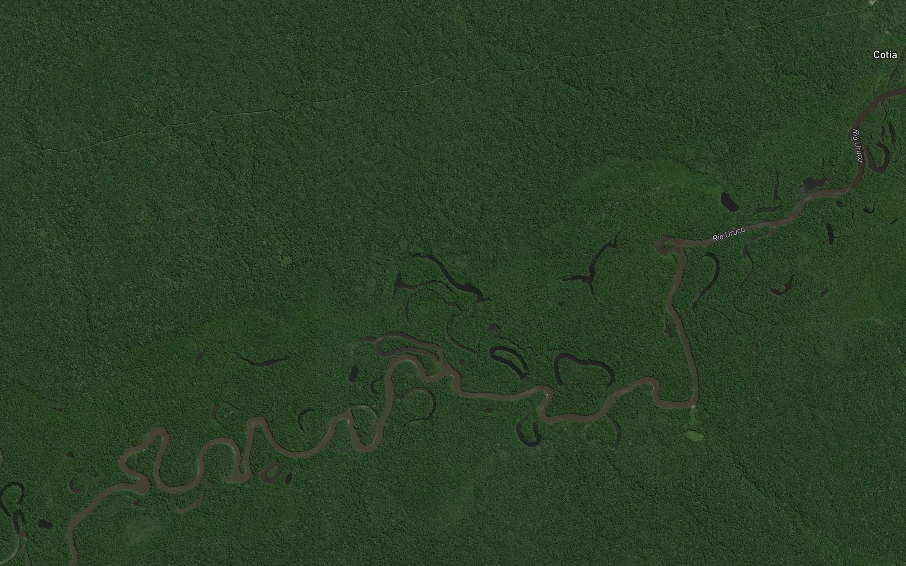 Satellite map of the Laguinho