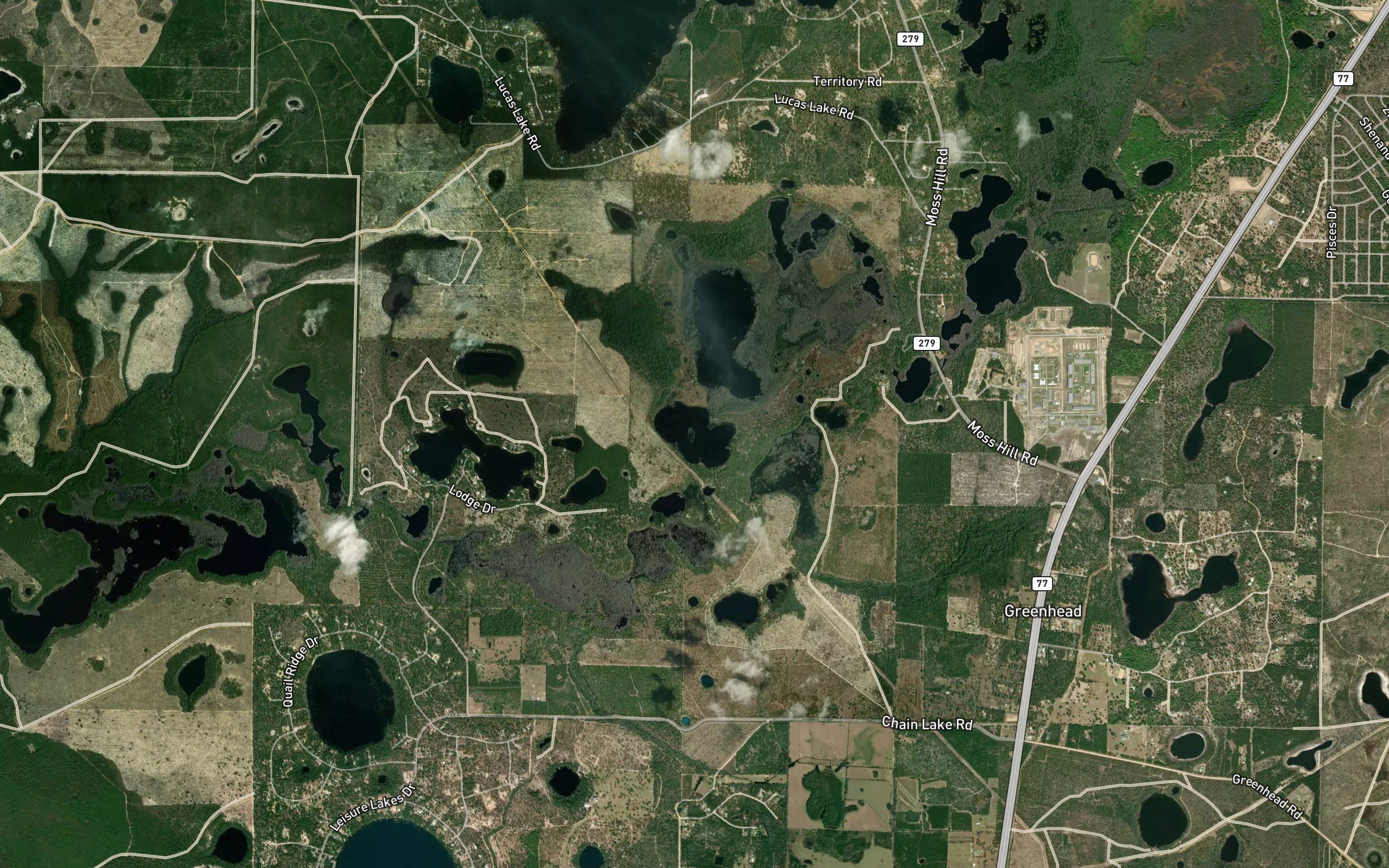 Black Pond