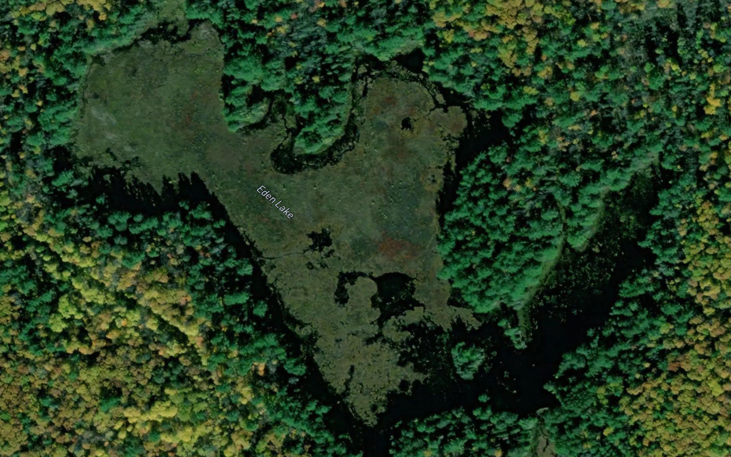Eden Lake