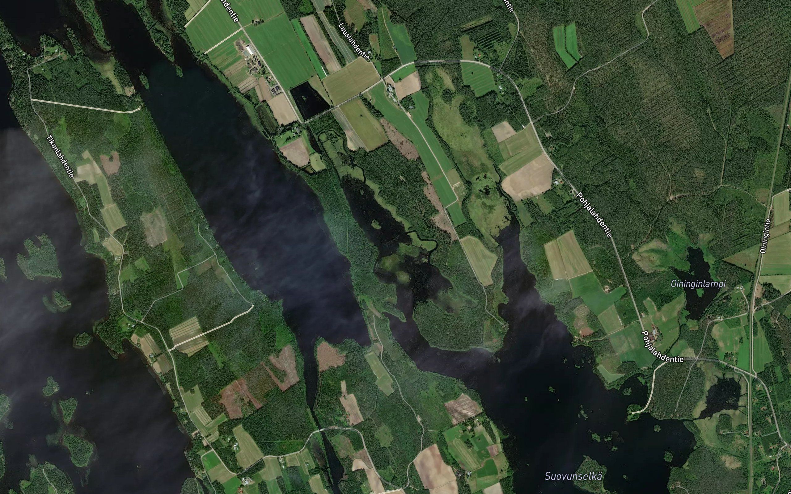 Hirvilahti