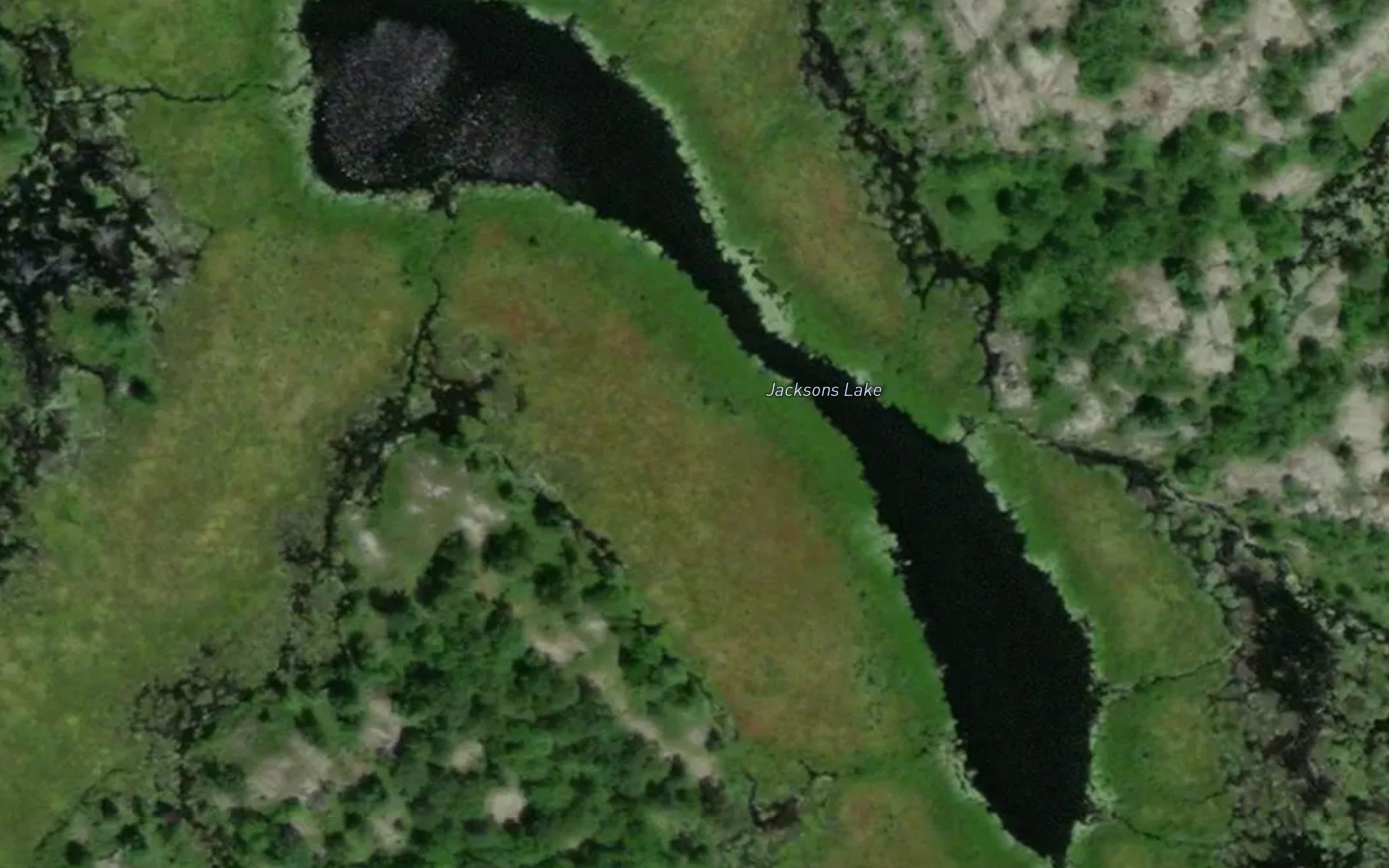 Jacksons Lake