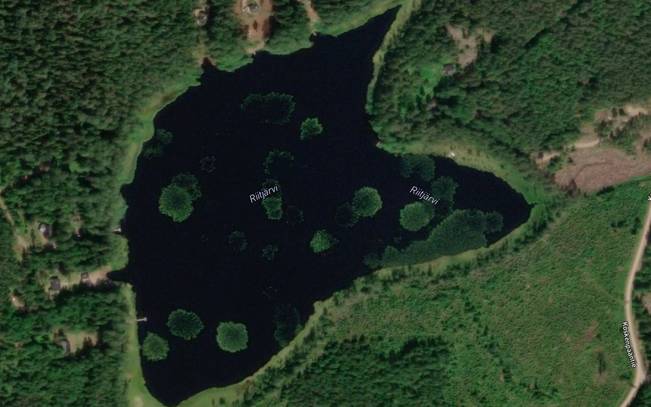 Riitjarvi