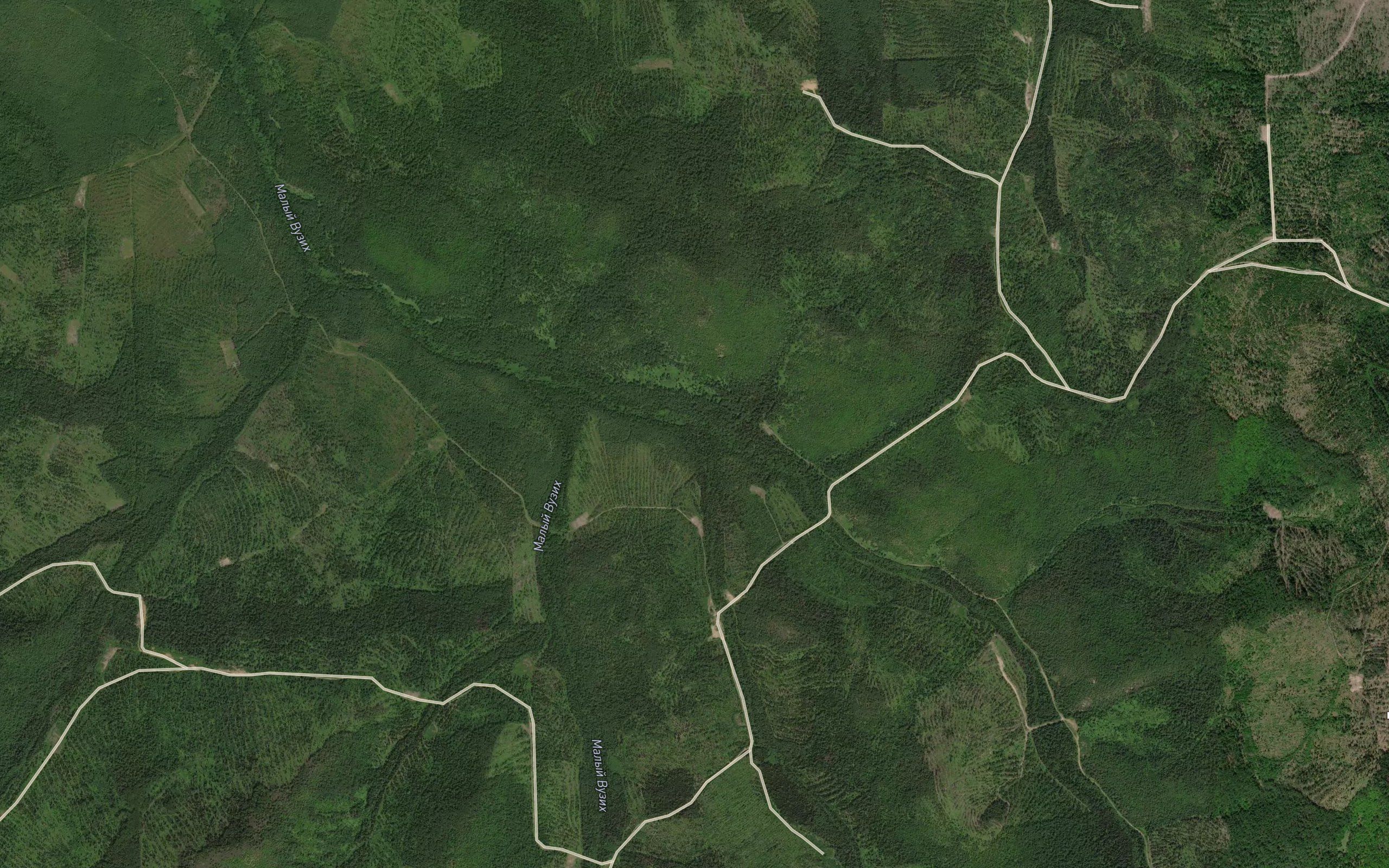 Mokrushina