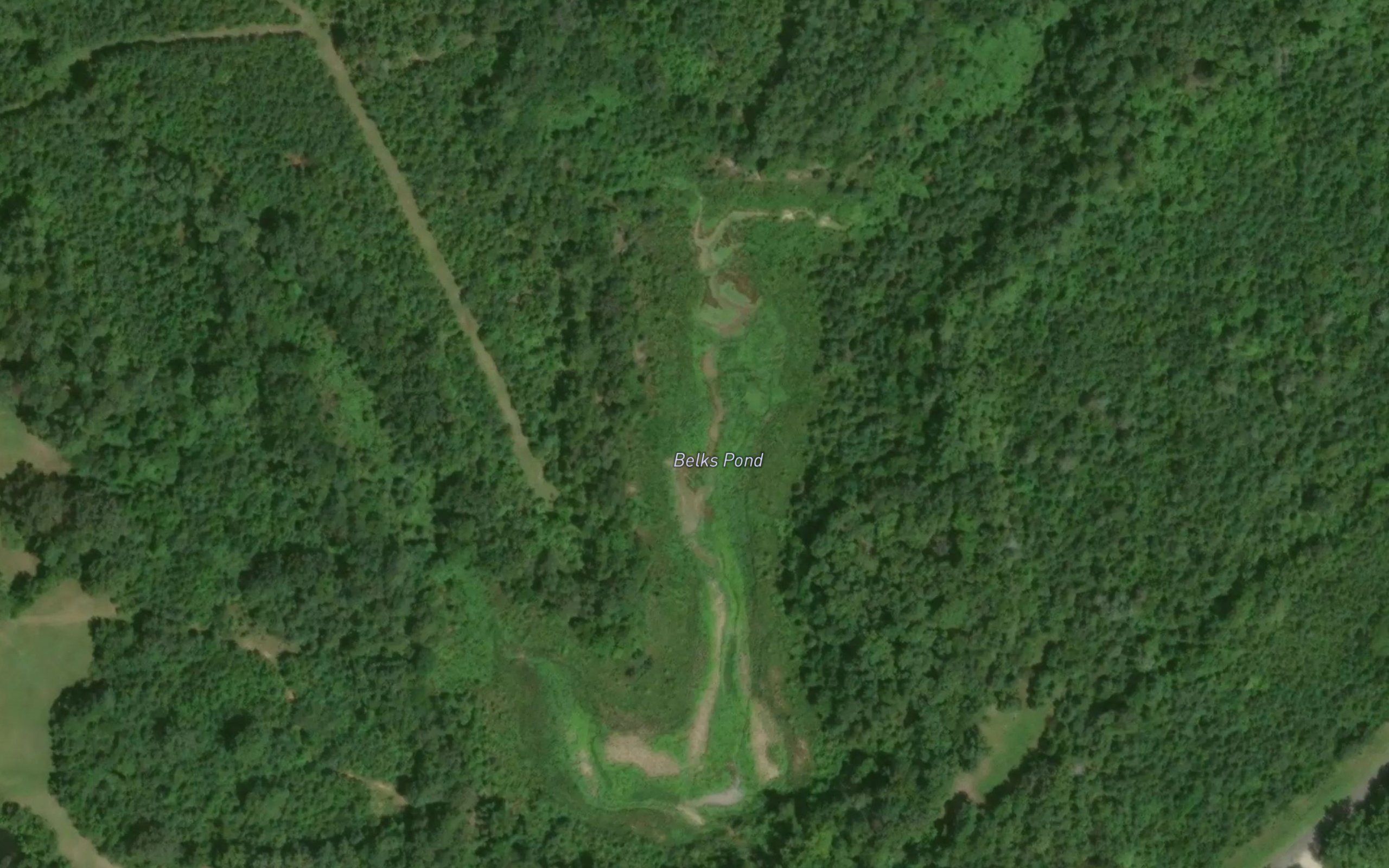 Belks Pond
