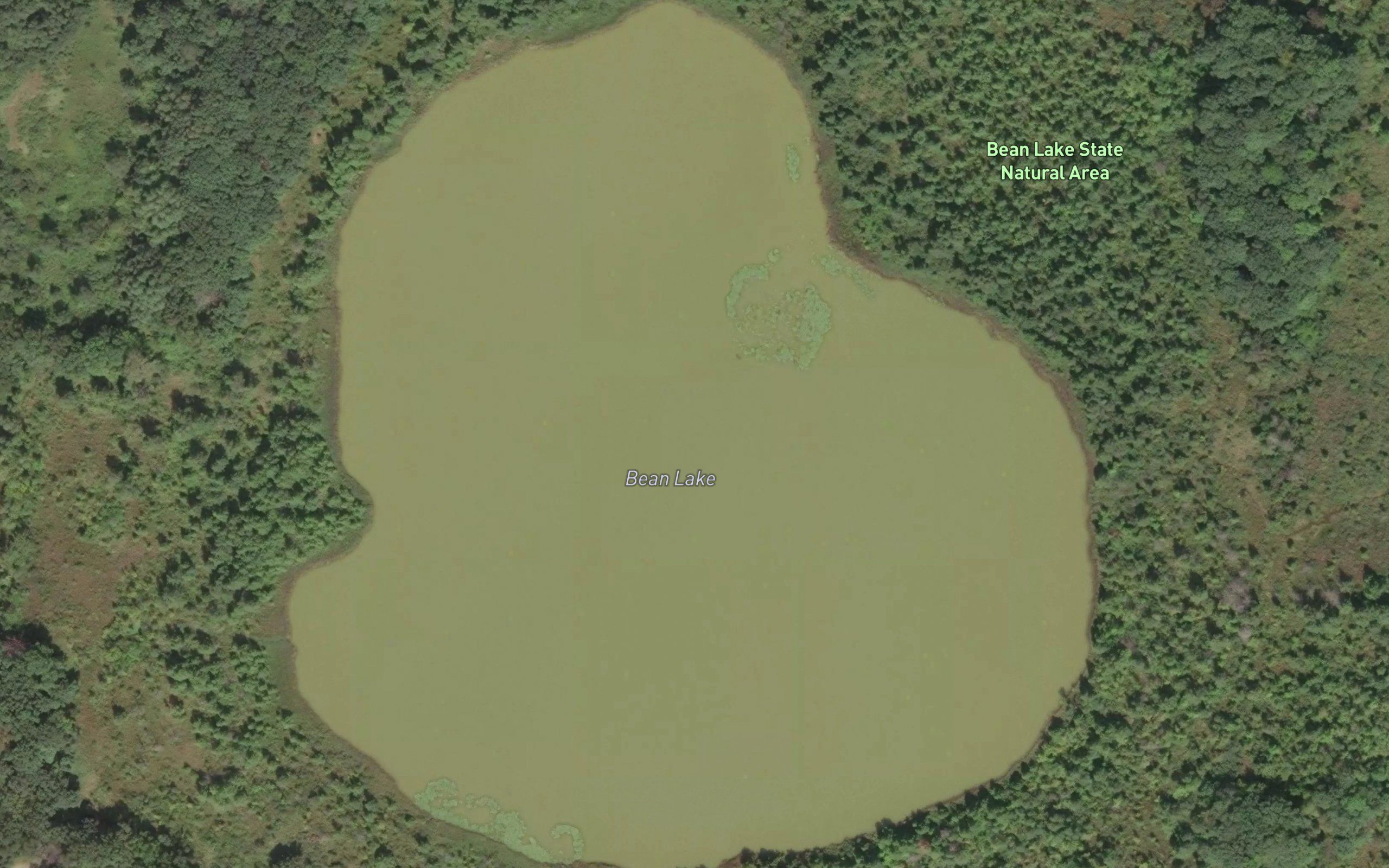 Bean Lake
