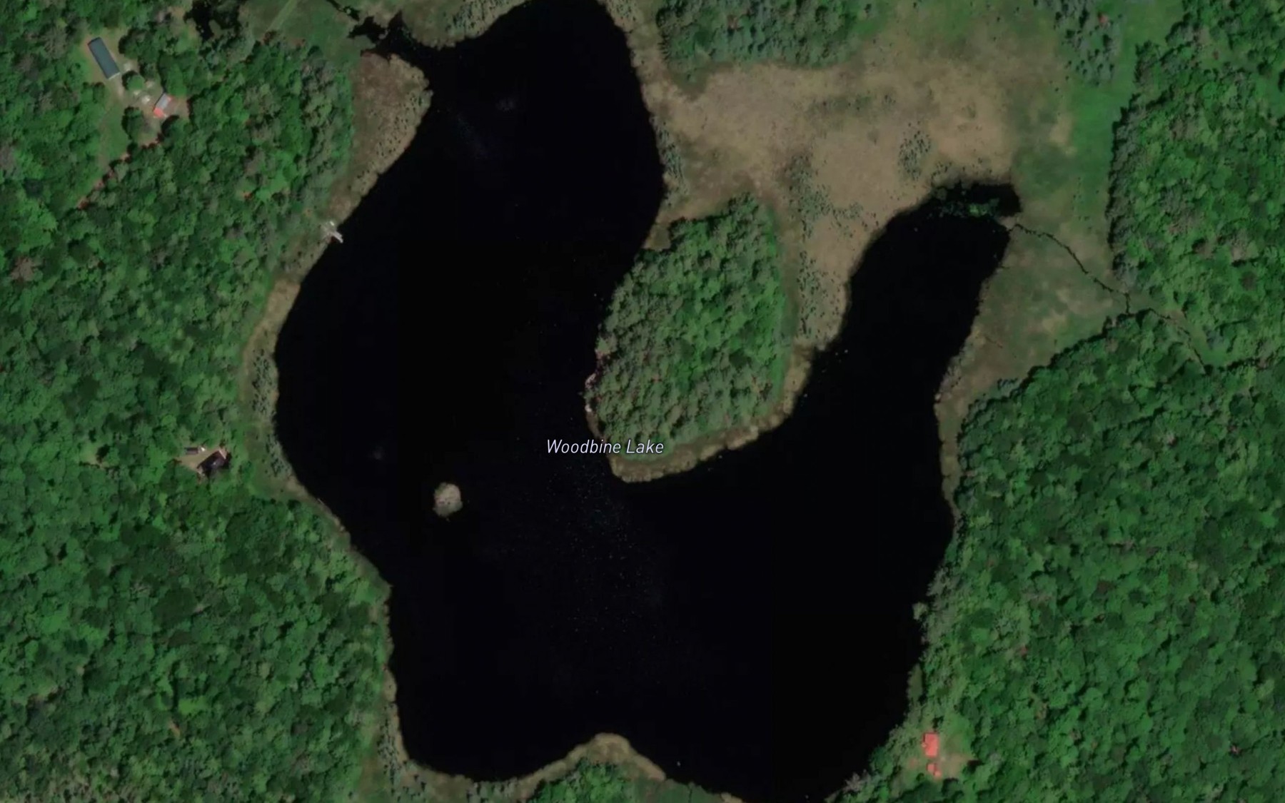 Satellite map of the Woodbine Lake