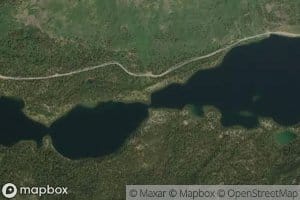 Roy Lake