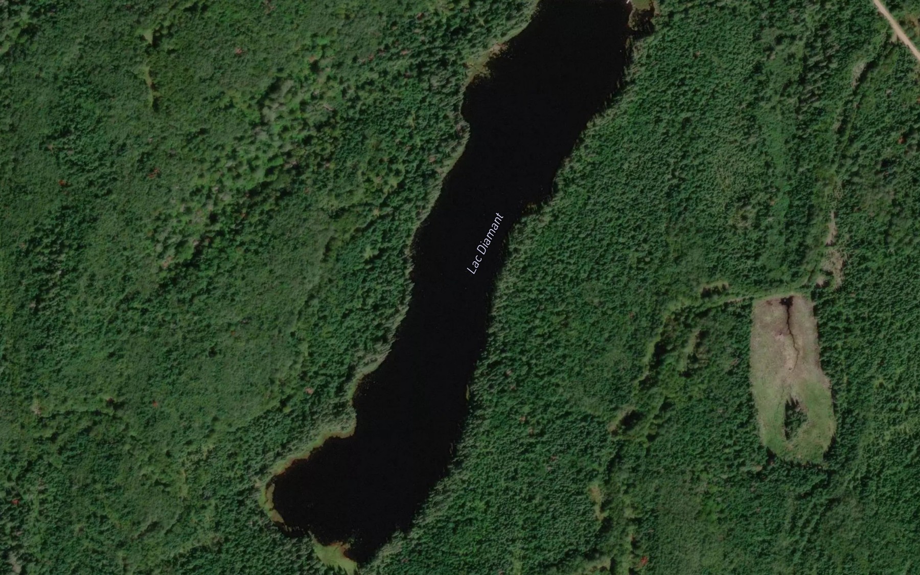 Satellite map of the Lac Diamant