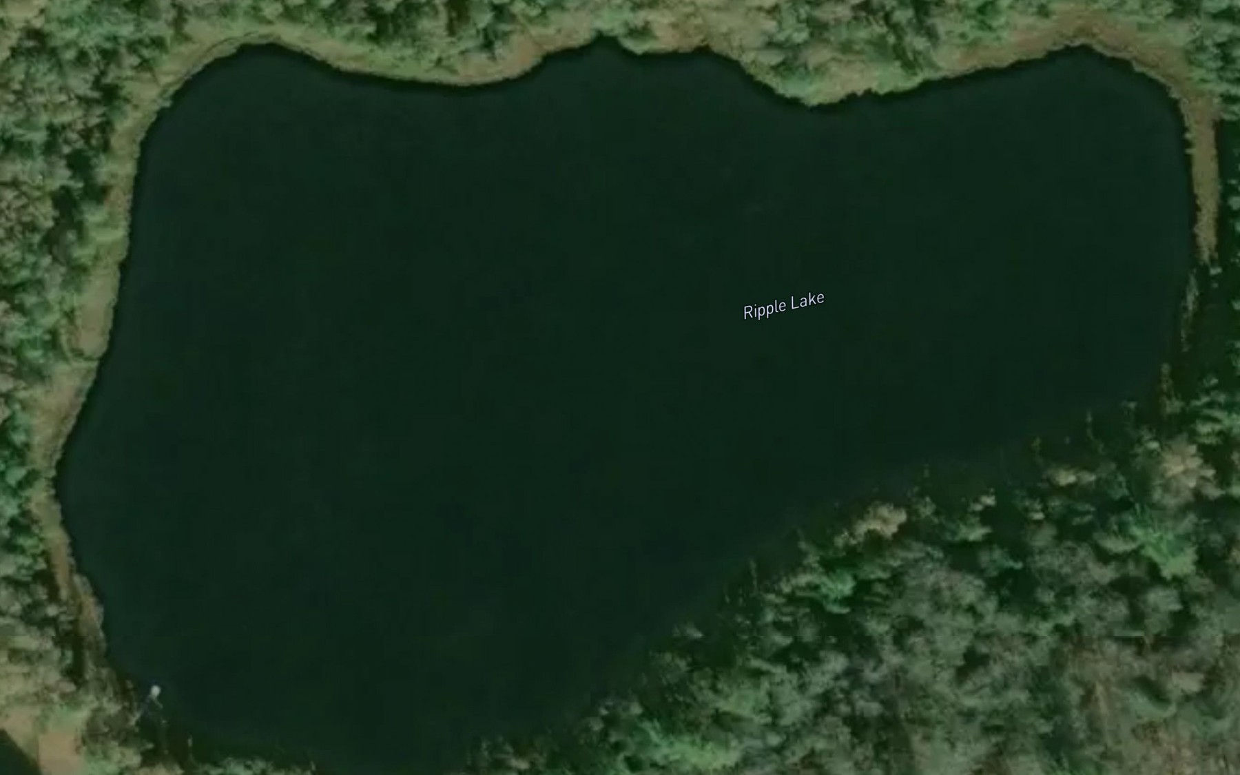 Satellite map of the Ripple Lake