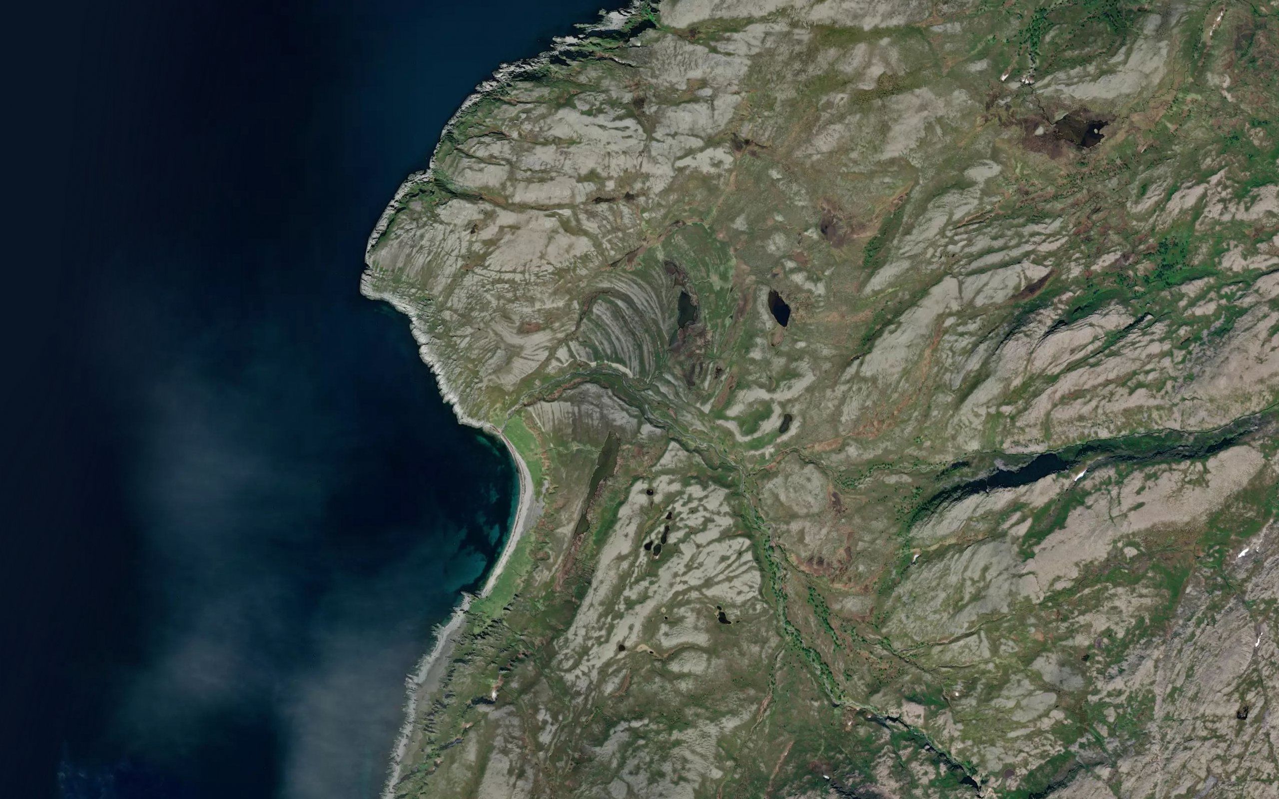 Sinkelvikelva