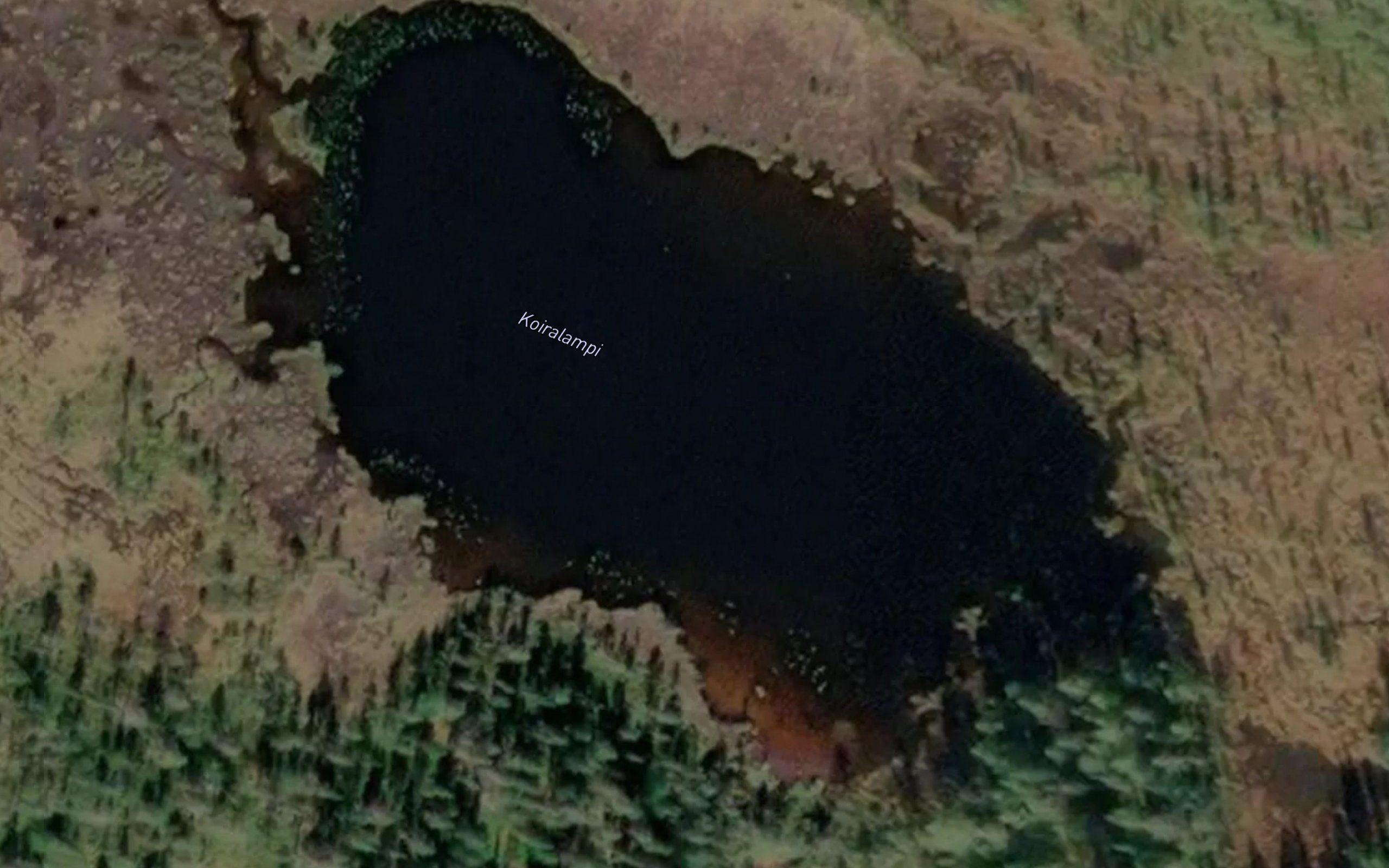 Koiralampi