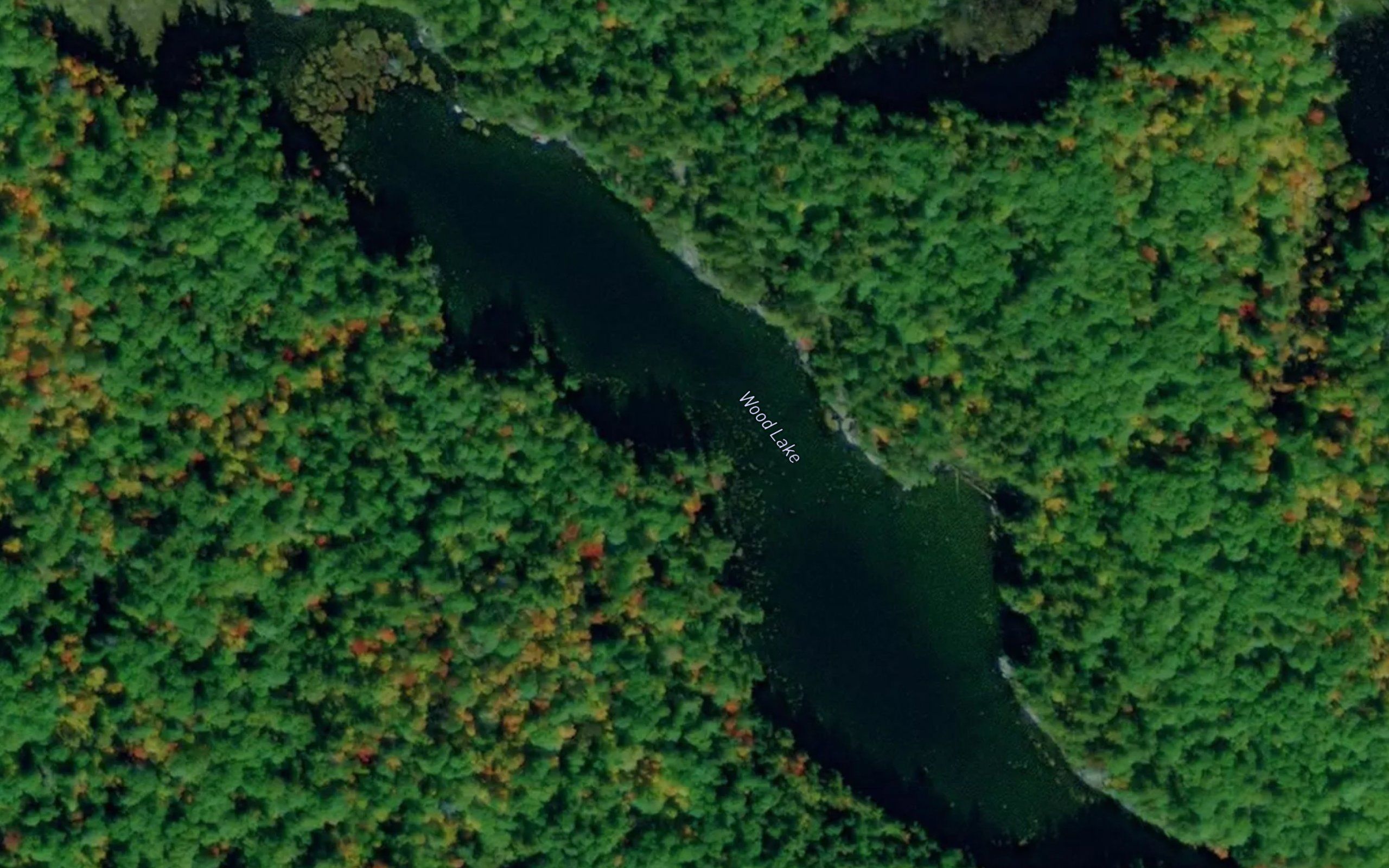 Wood Lake