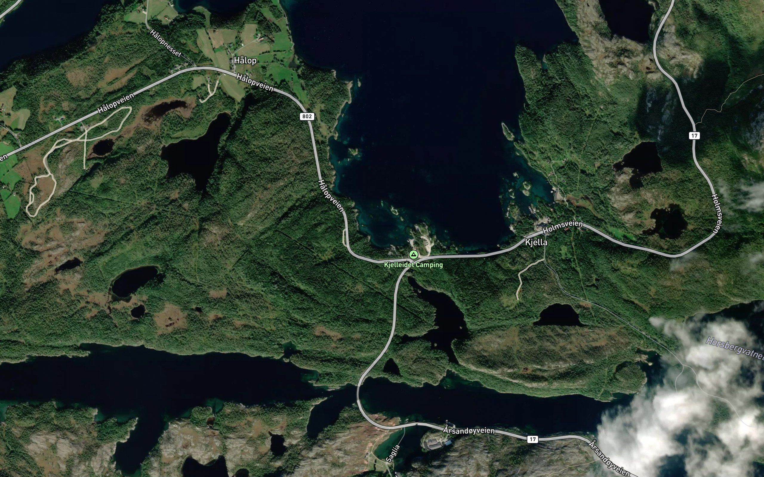 Tommervika