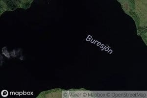 Buresjoen
