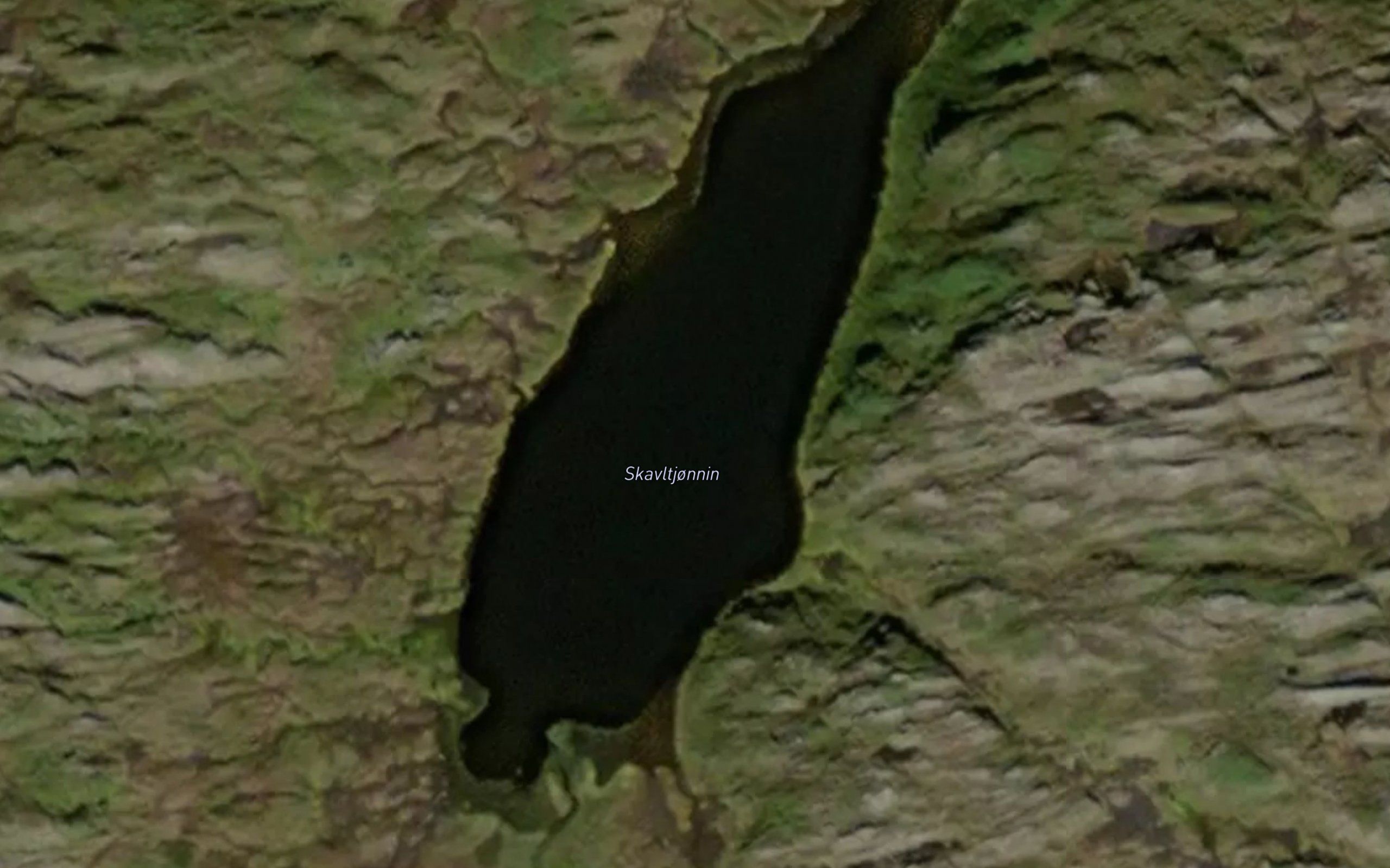 Skavltjorna