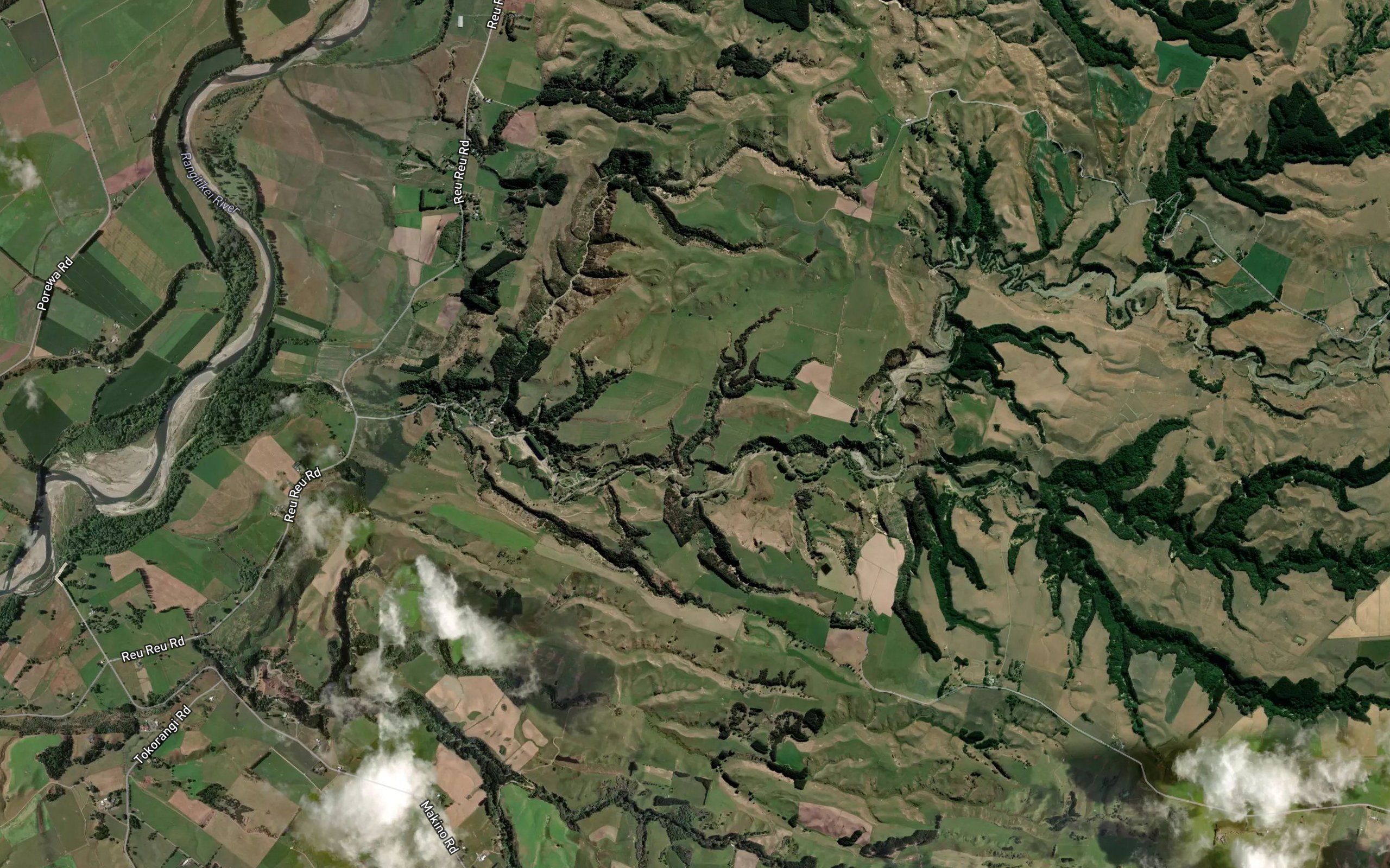 Waituna Stream
