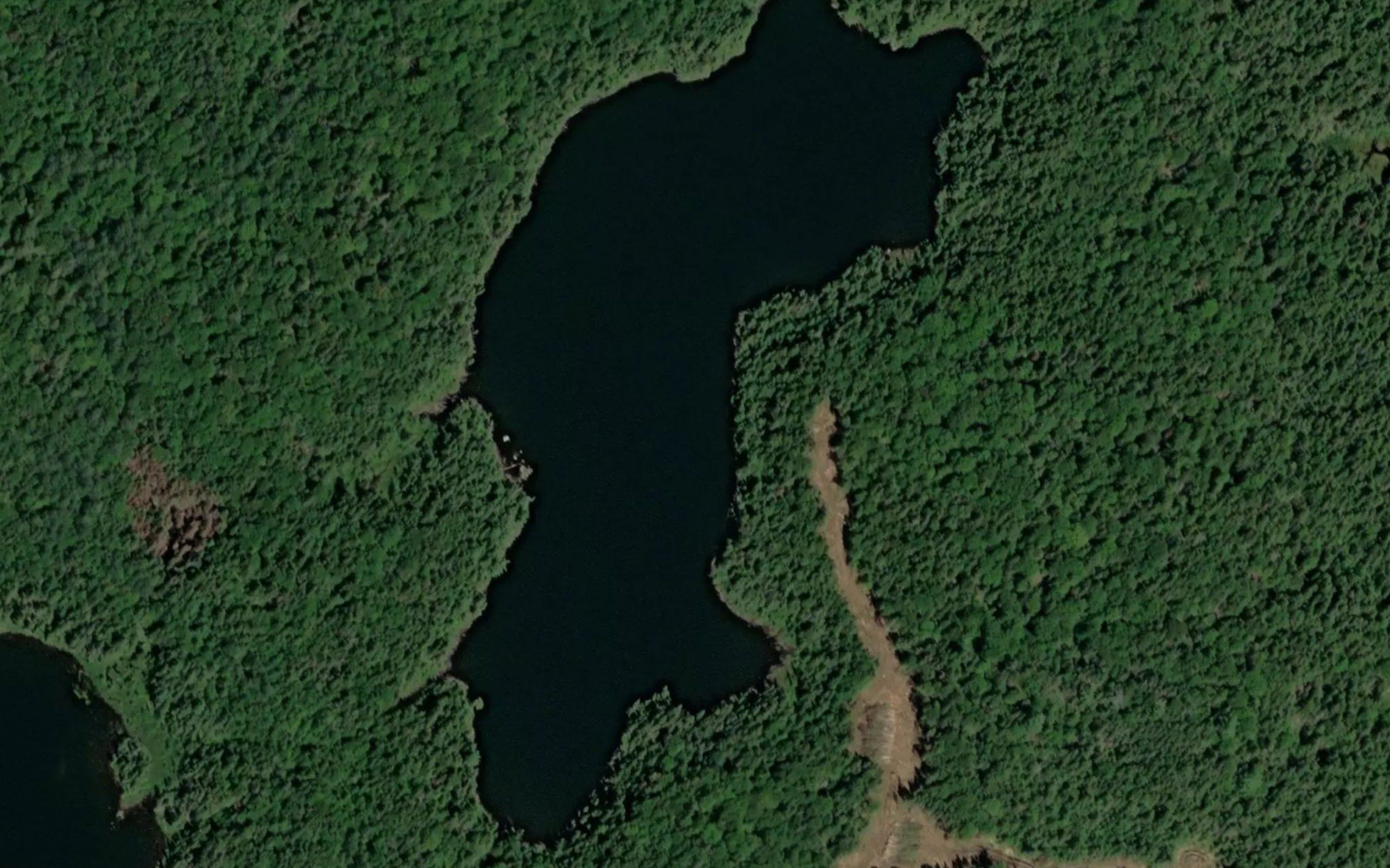 Lac Burroughs