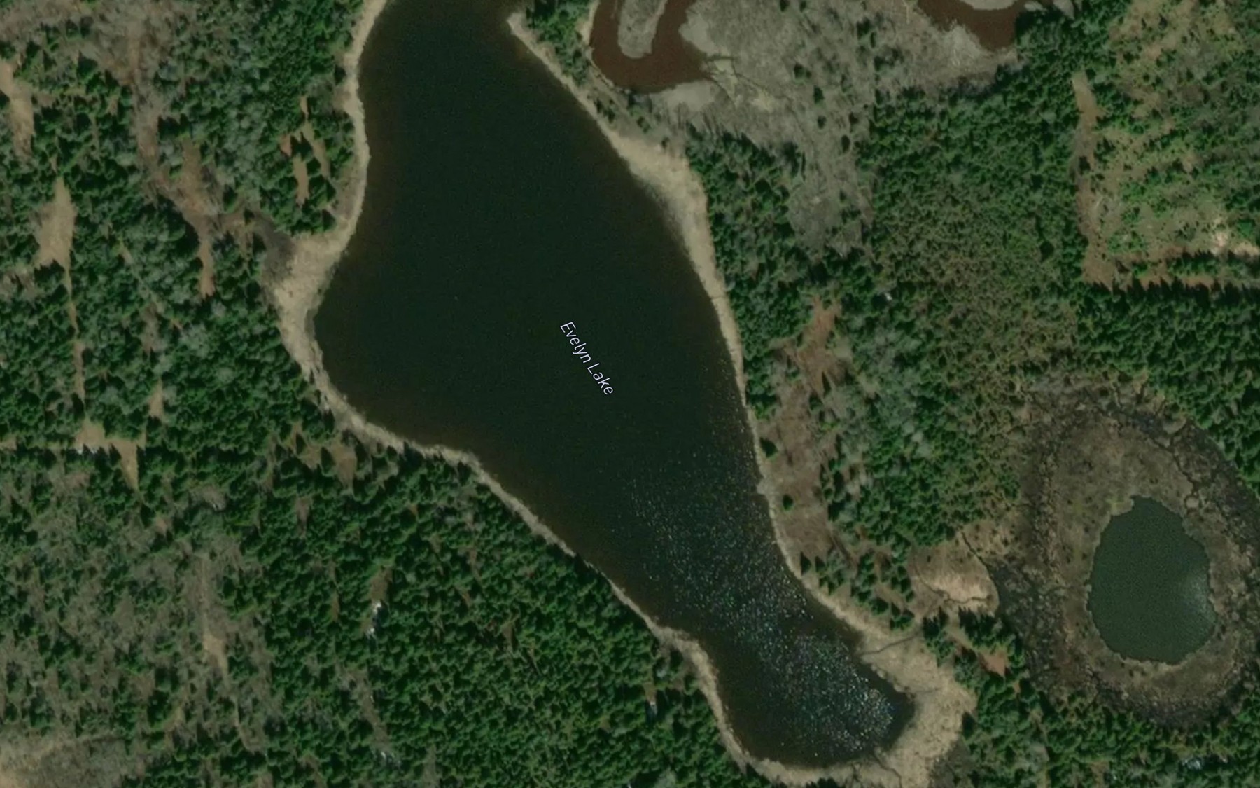 Satellite map of the Evelyn Lake