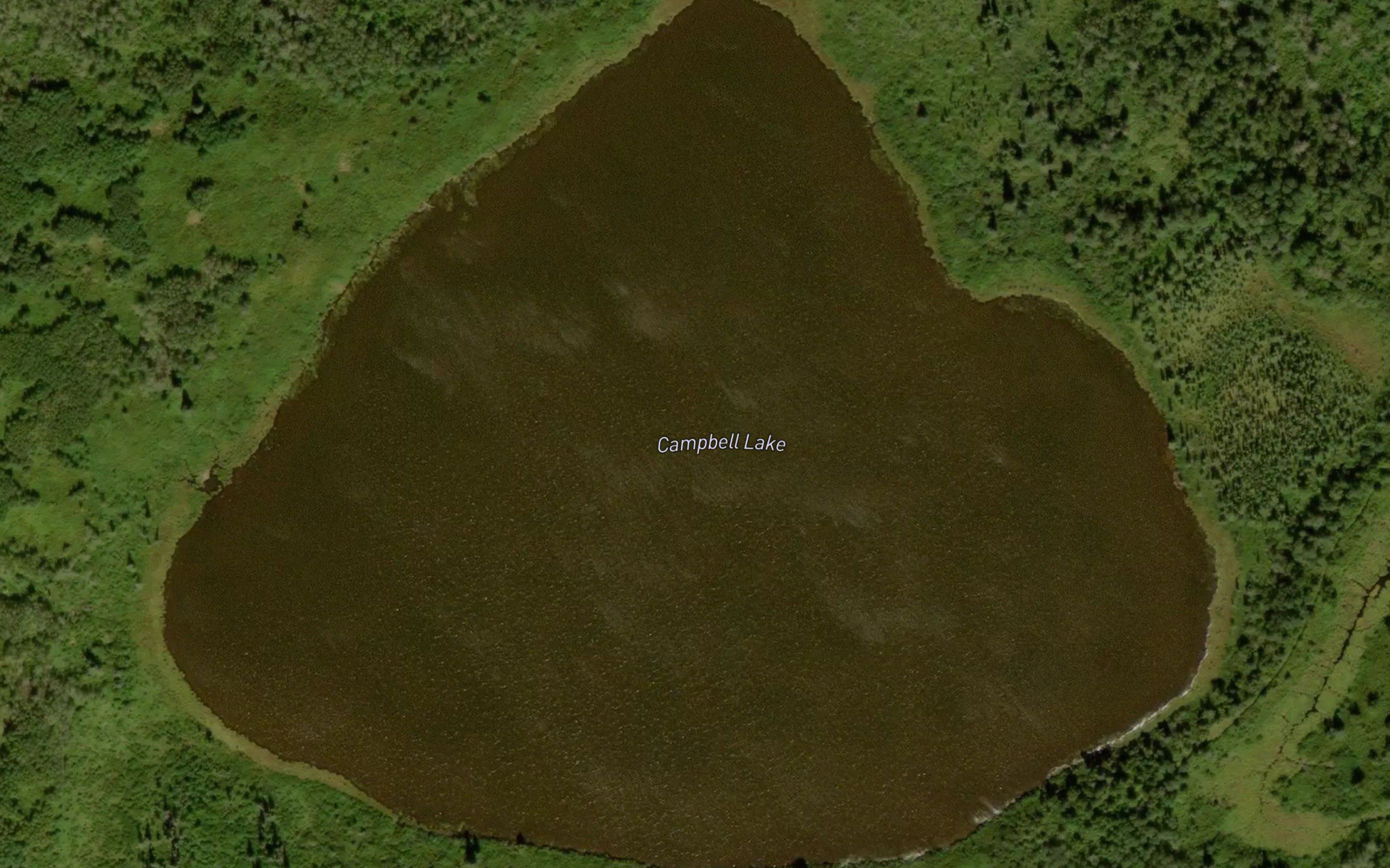 Campbell Lake