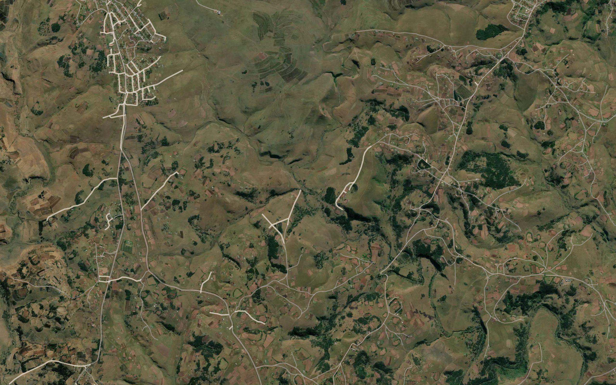 Zizityaneni