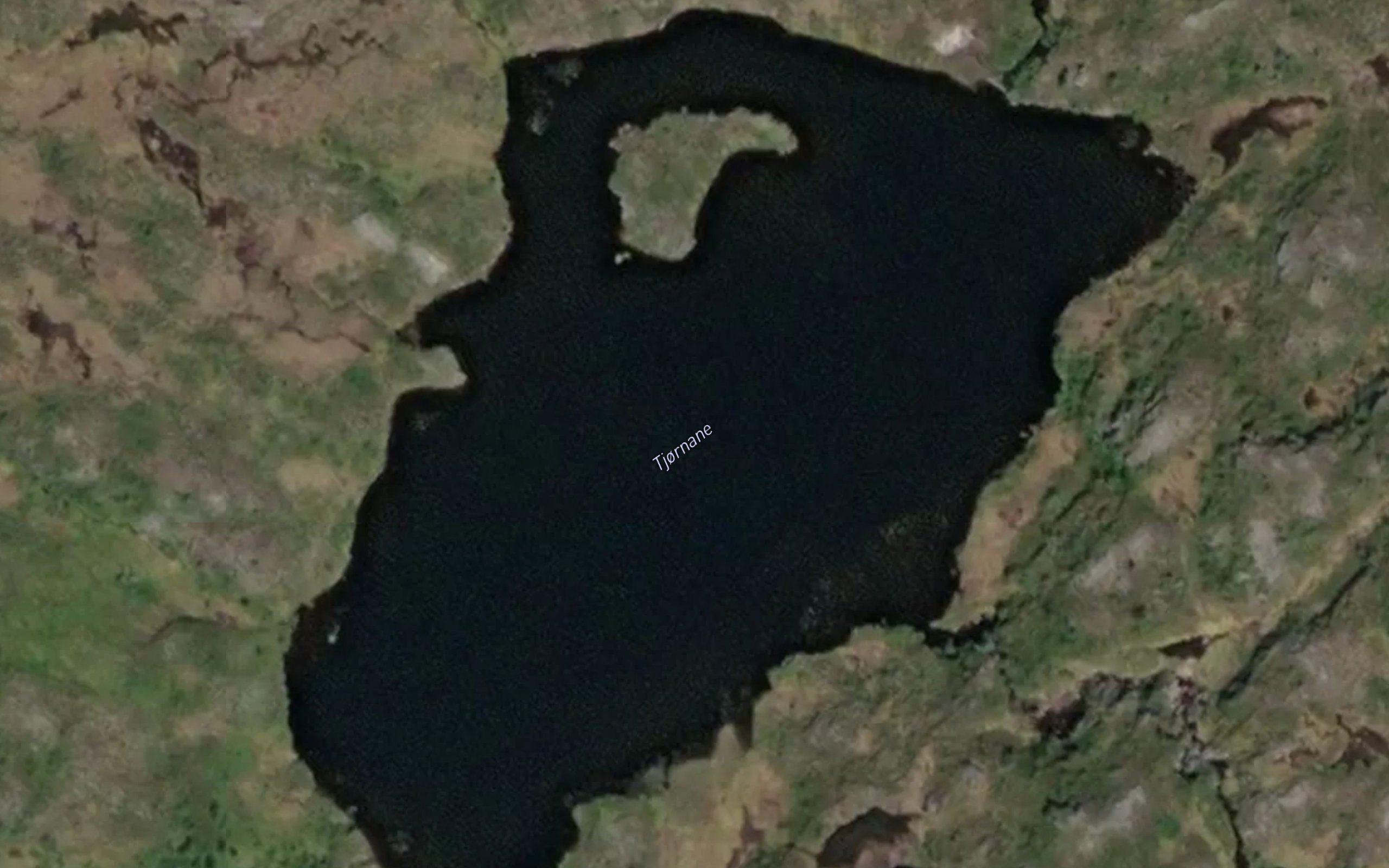 Tjornane
