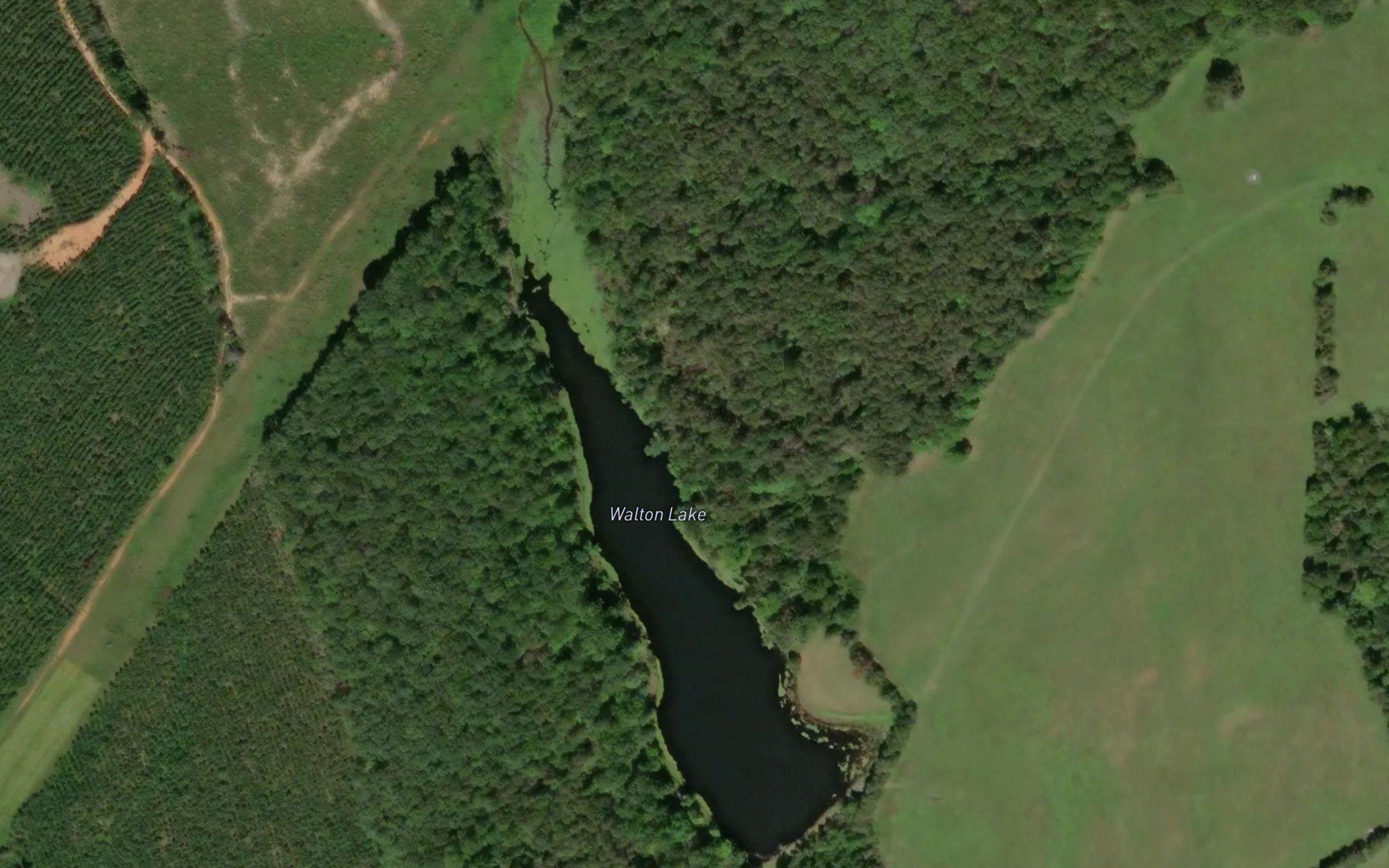 Walton Lake