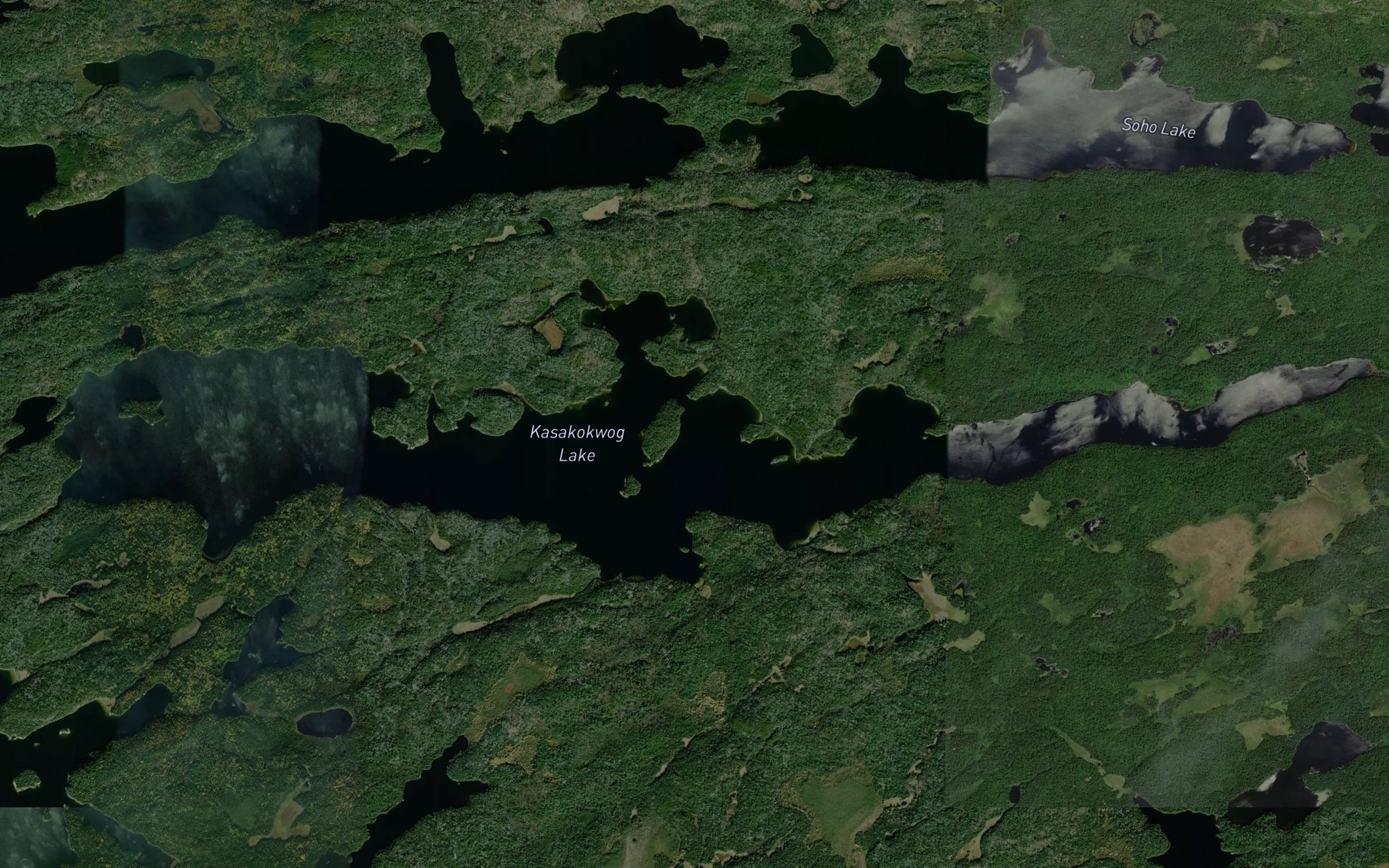 Satellite map of the Kasakokwog Lake