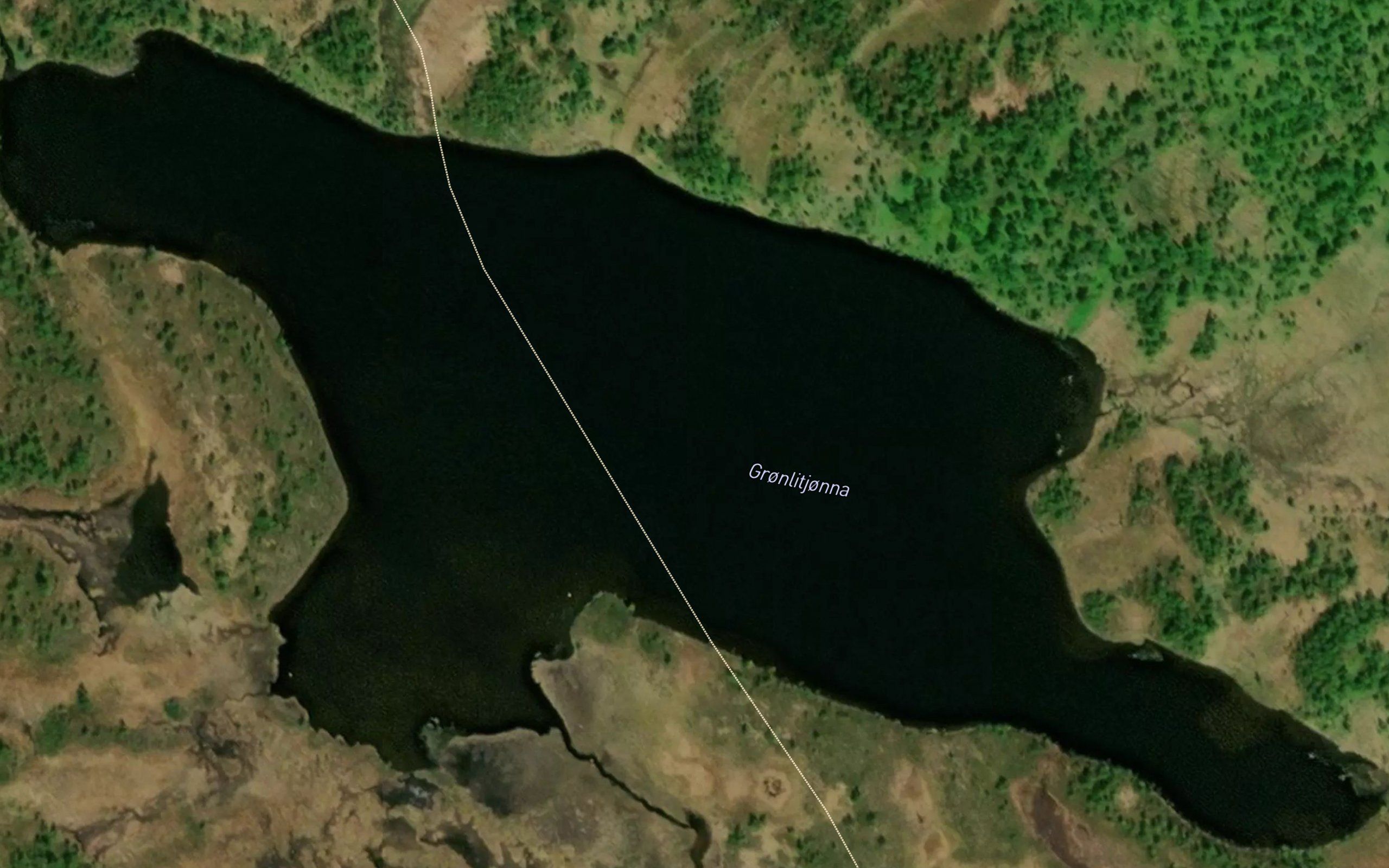 Gronlitjorna