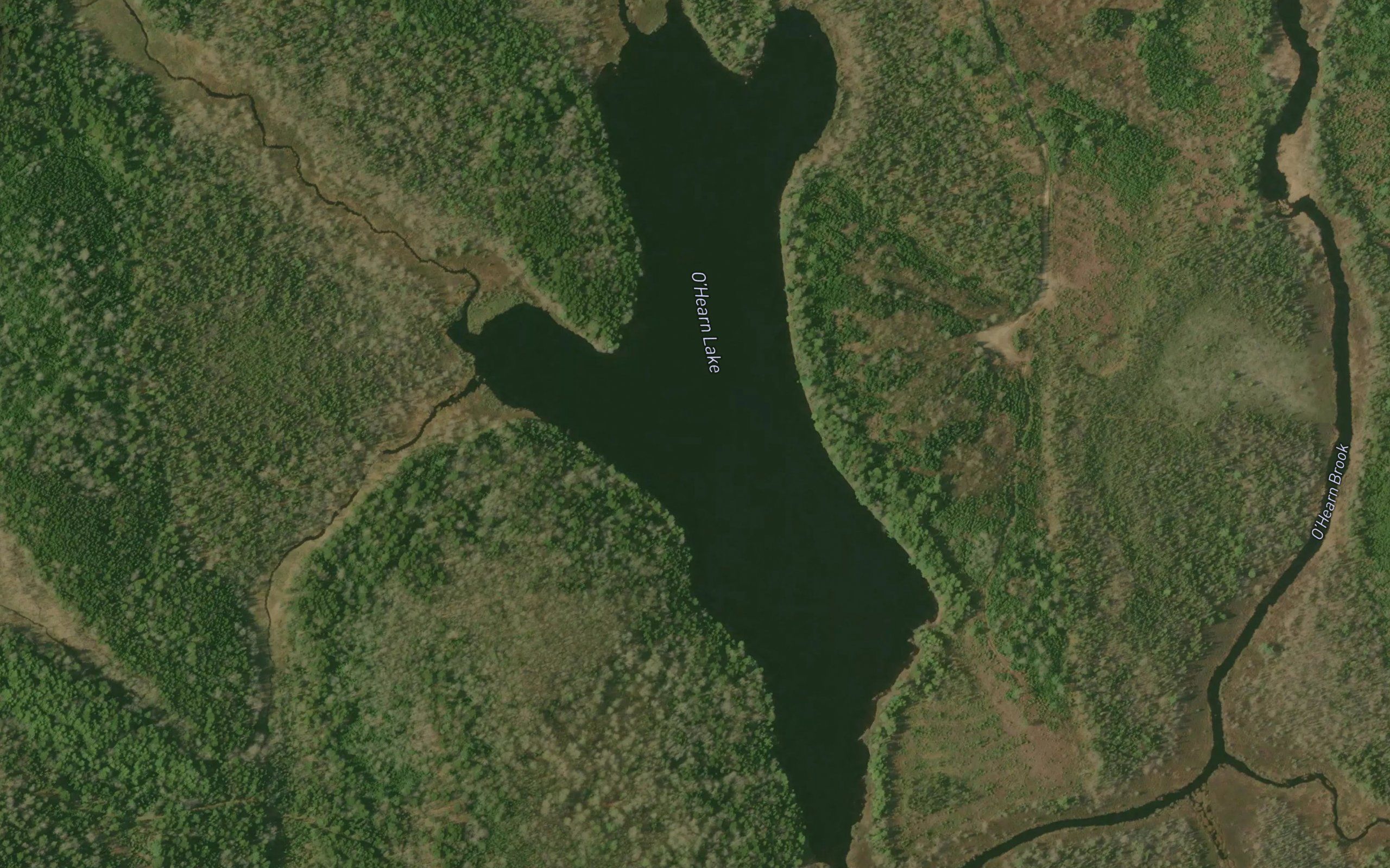 O'Hearn Lake