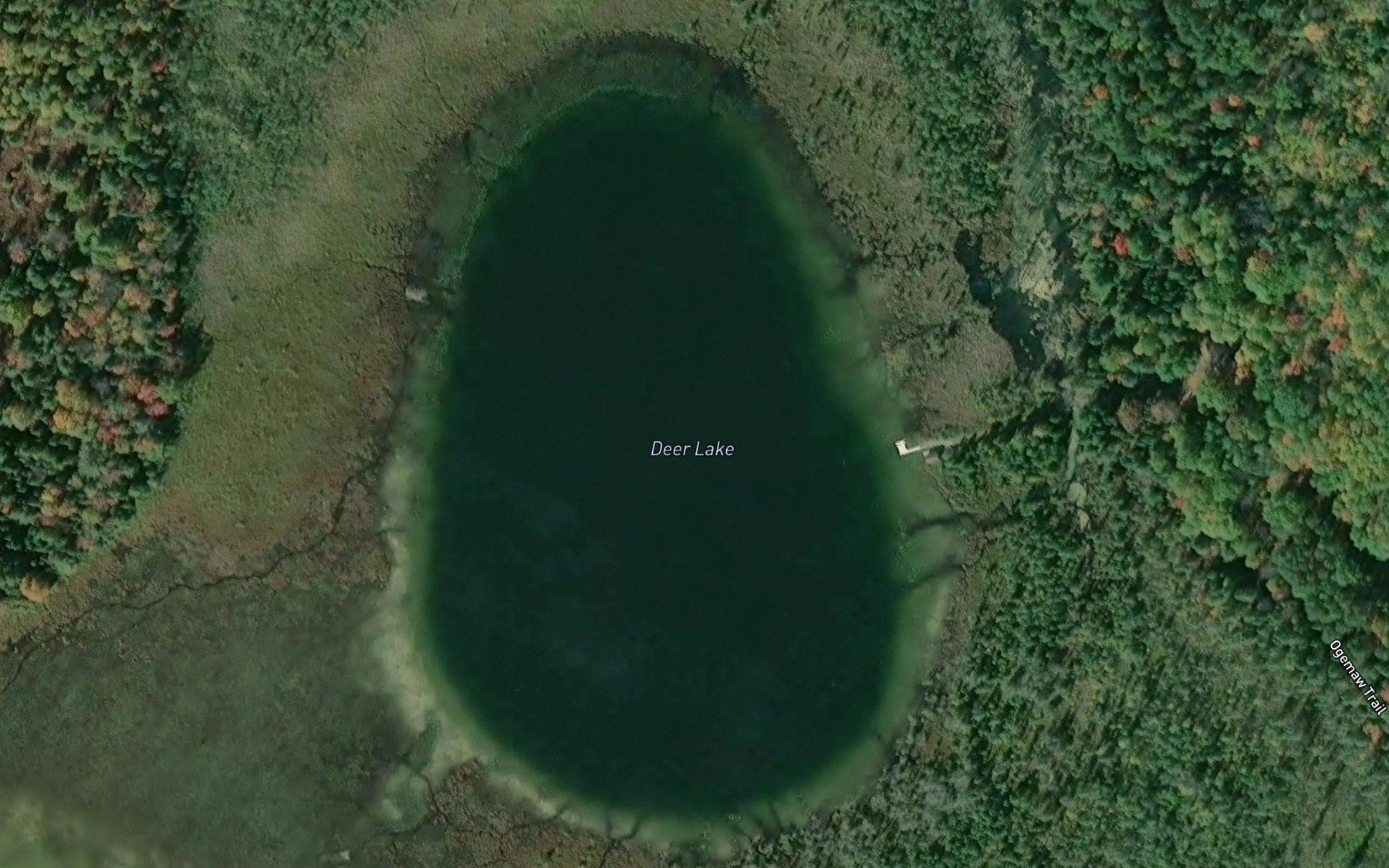 Satellite map of the Deer Lake