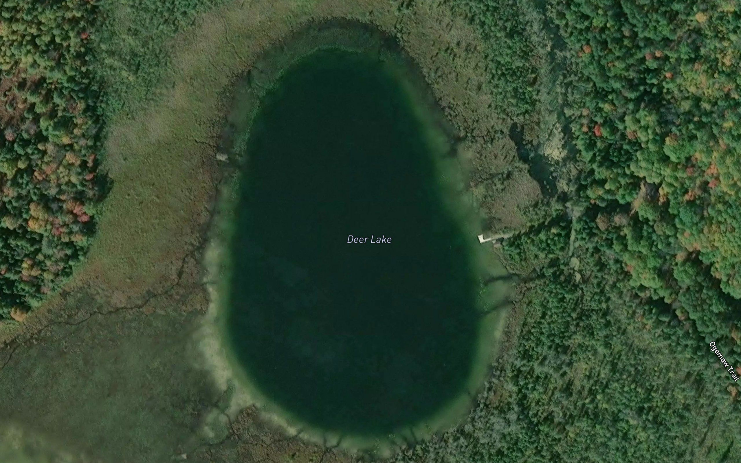 Deer Lake