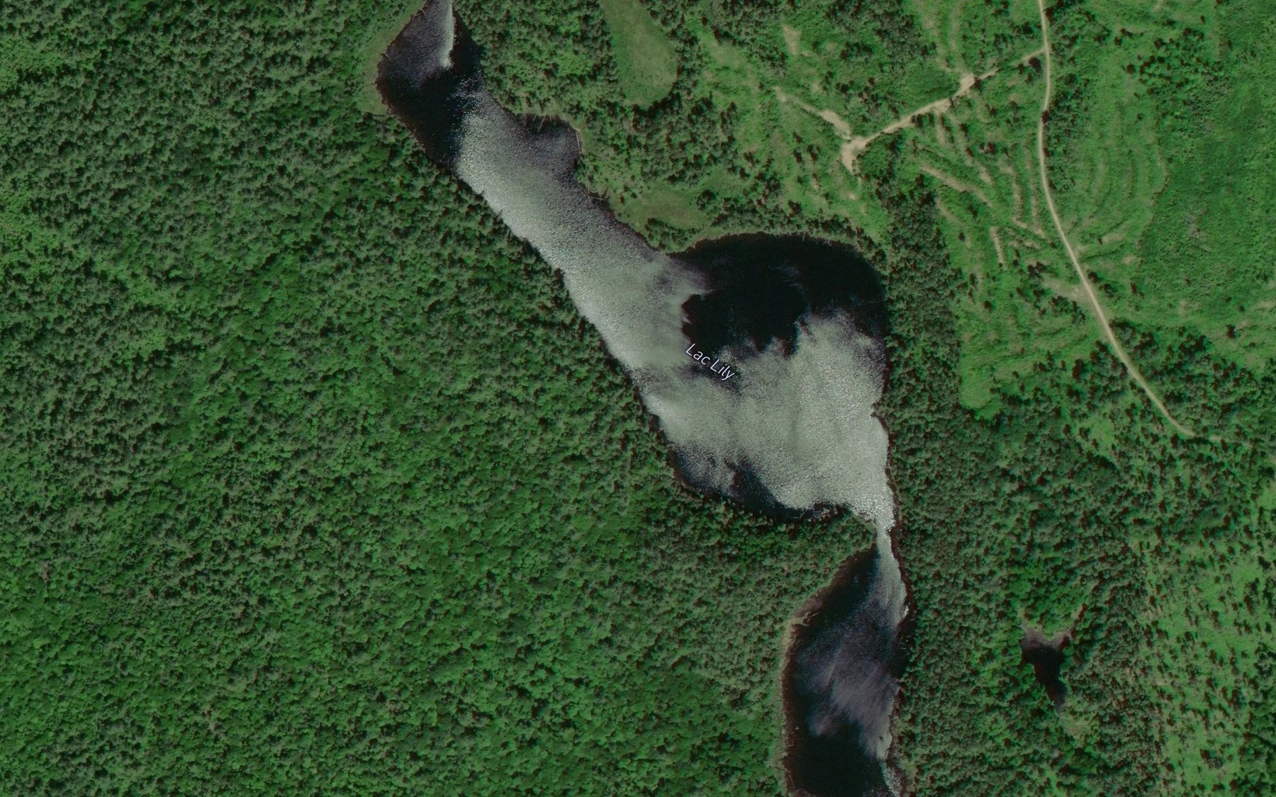 Satellite map of the Lac Lily