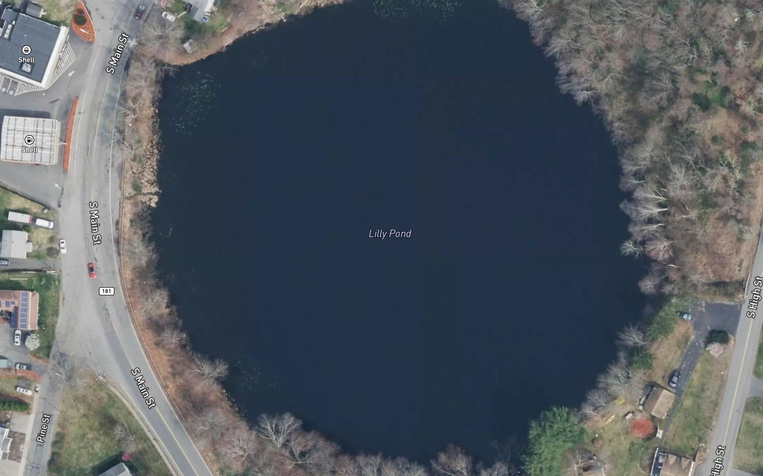 Lilly Pond