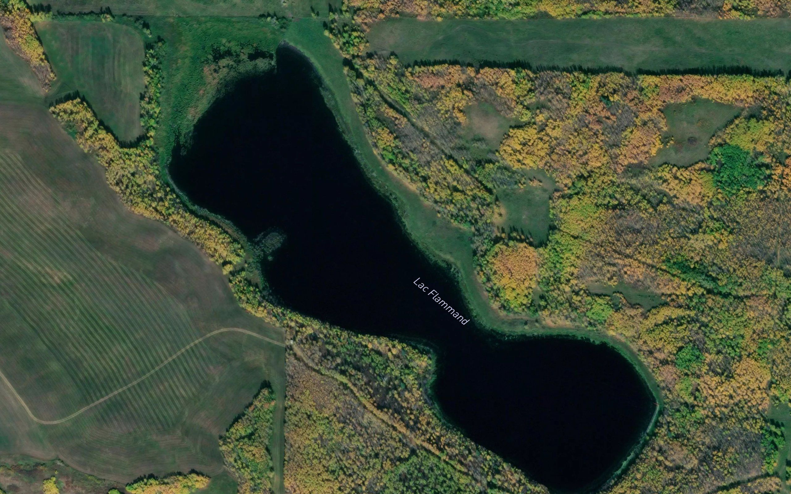 Lac Flammand
