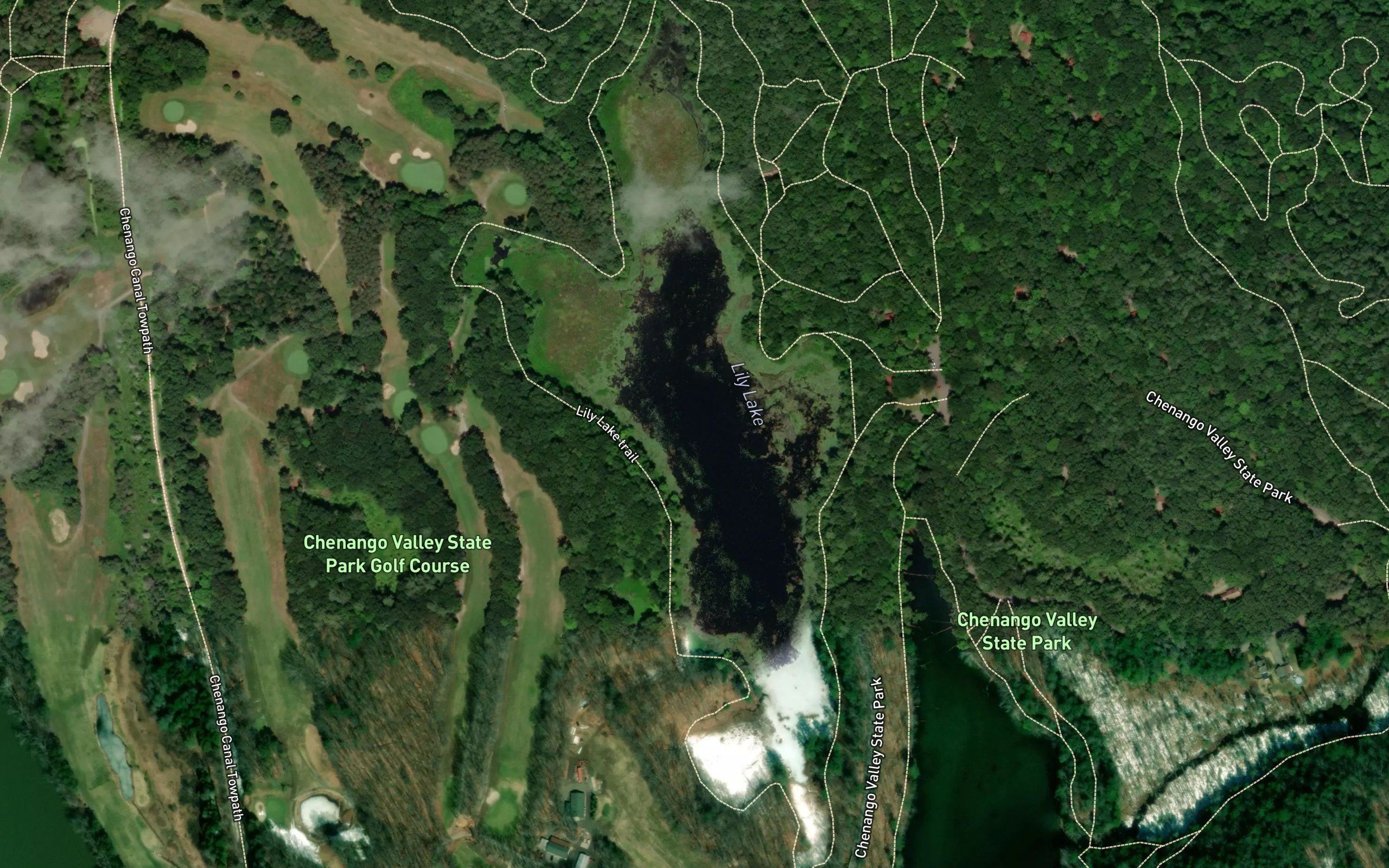 Lily Lake