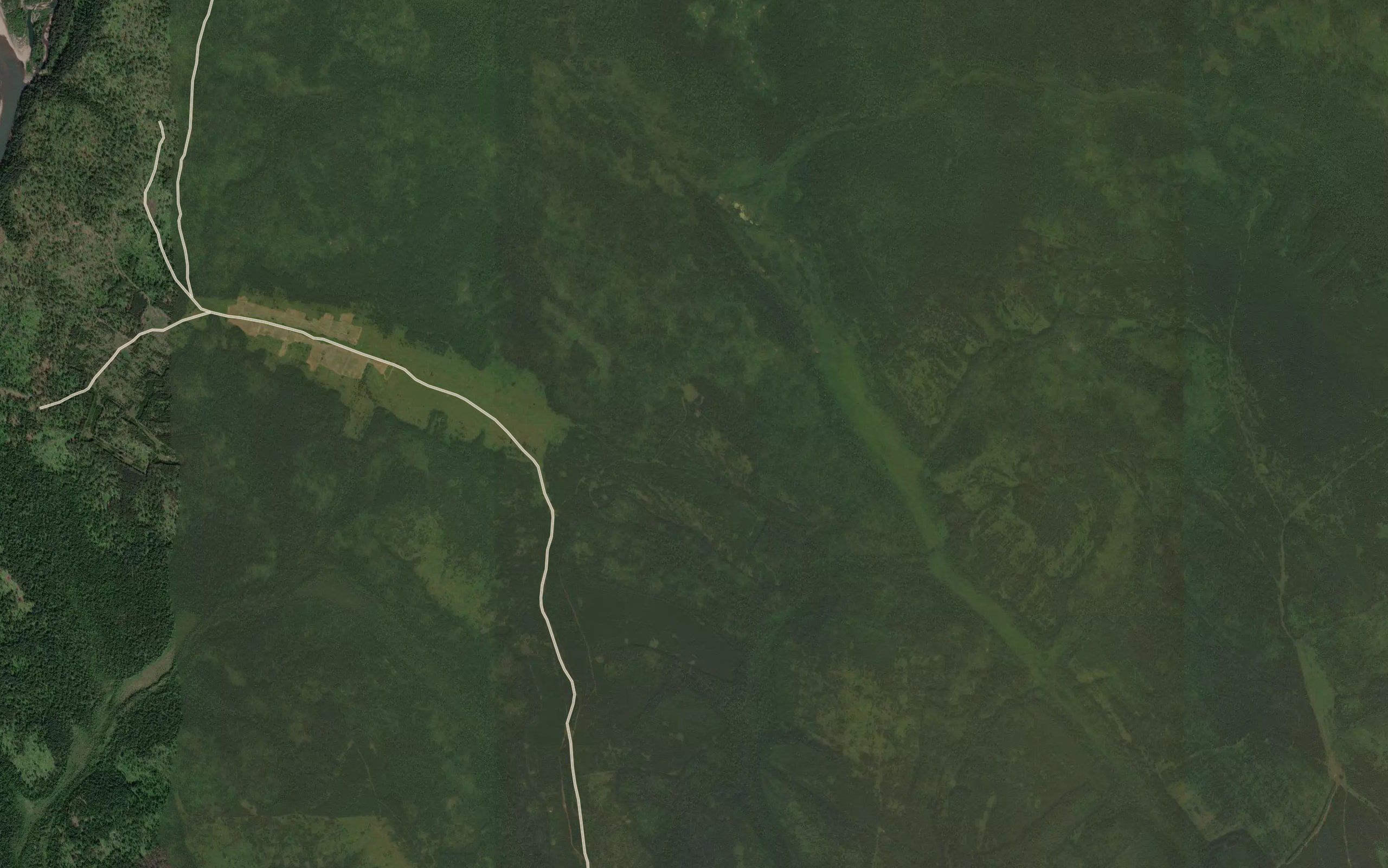 Pad' Lyubochkina