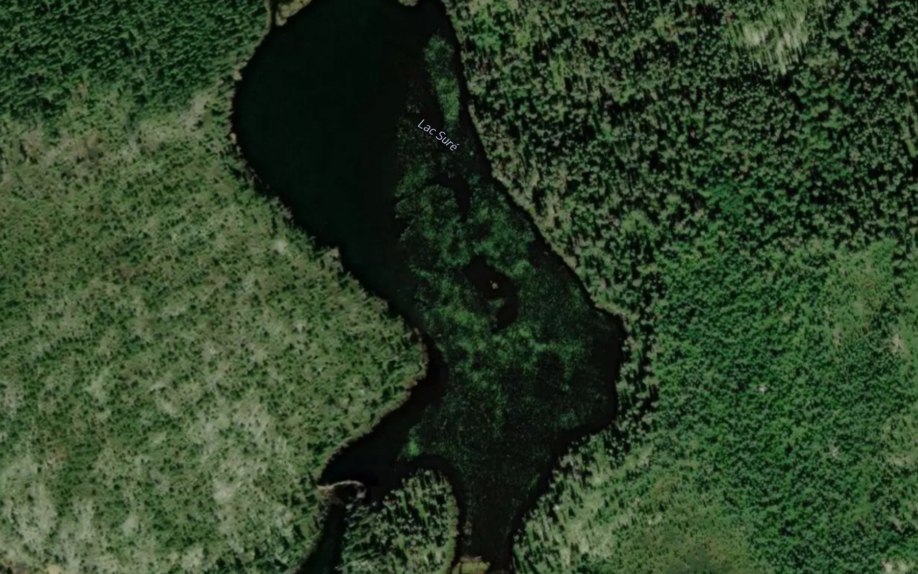 Satellite map of the Lac Sure