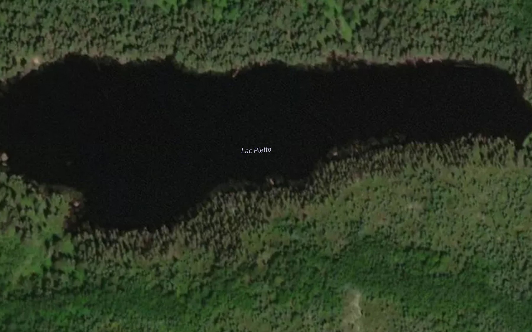 Satellite map of the Lac Pletto