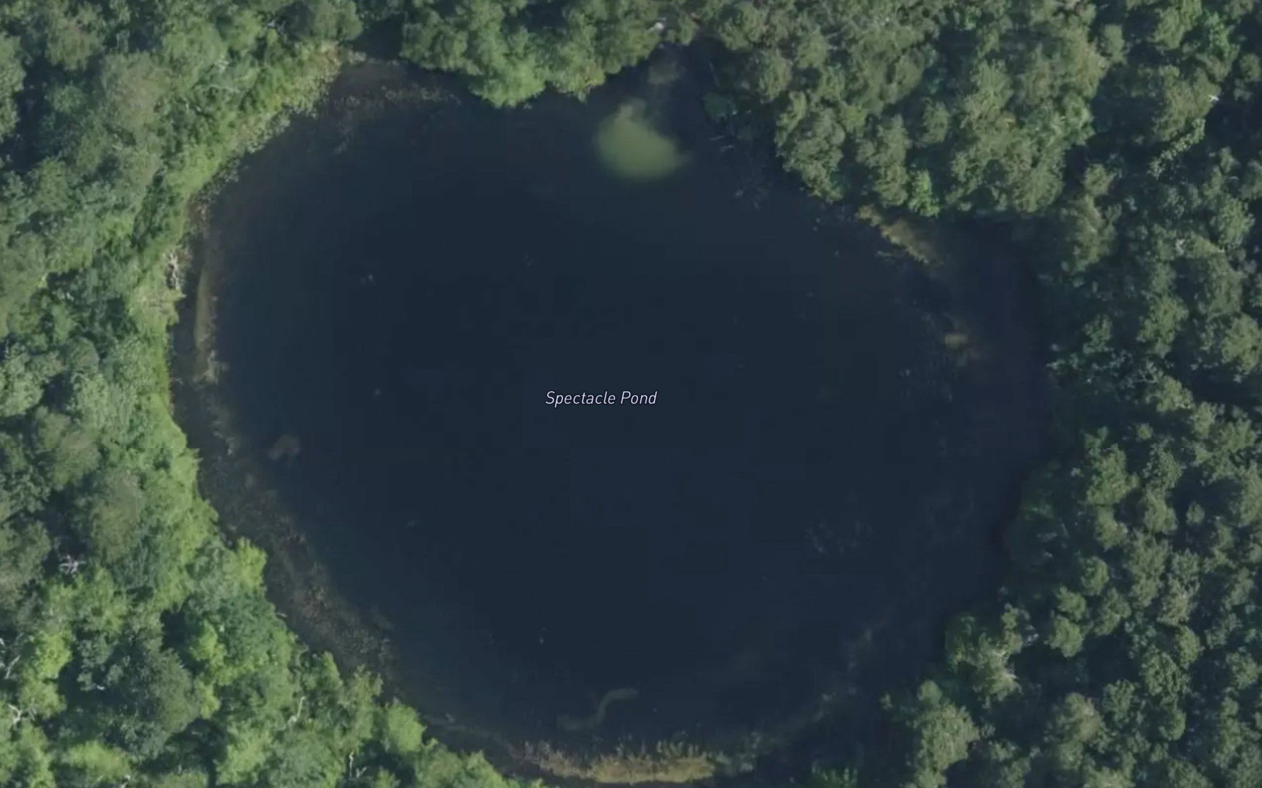 Spectacle Pond