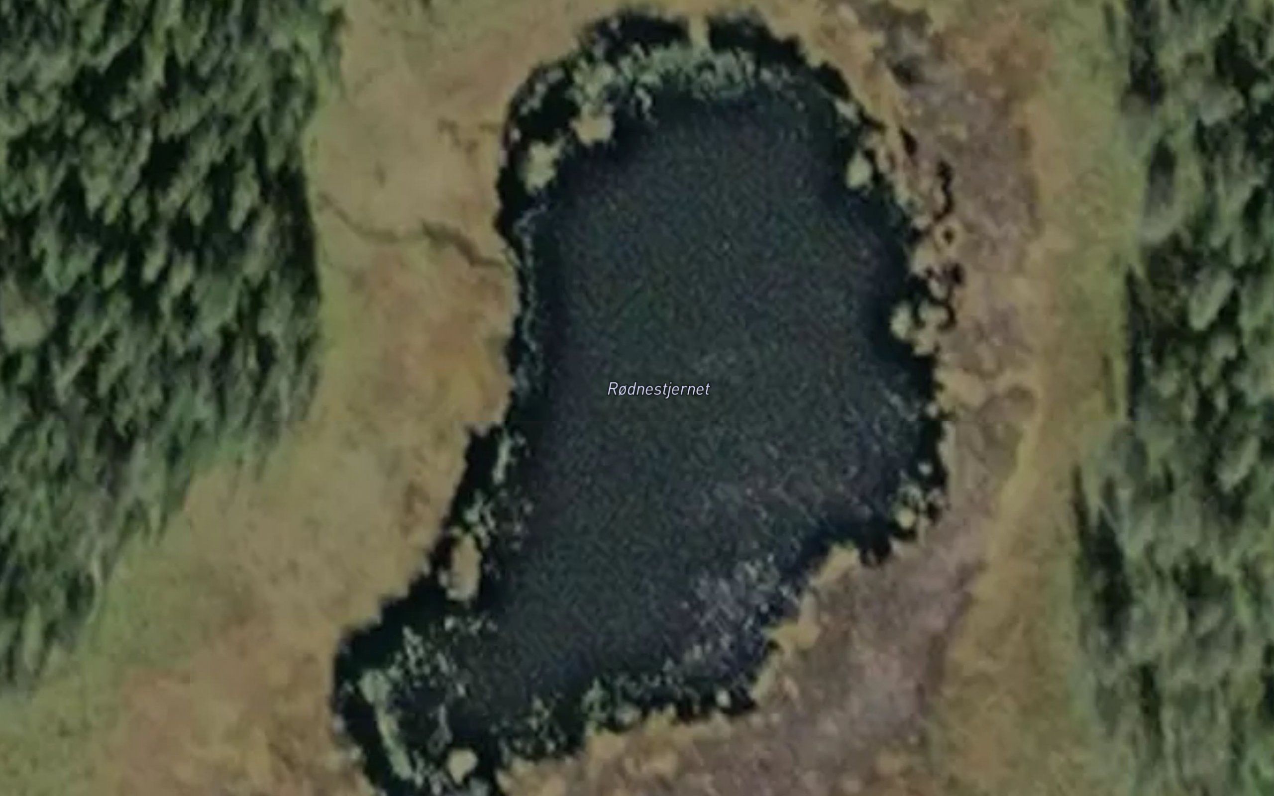 Rodnestjernet