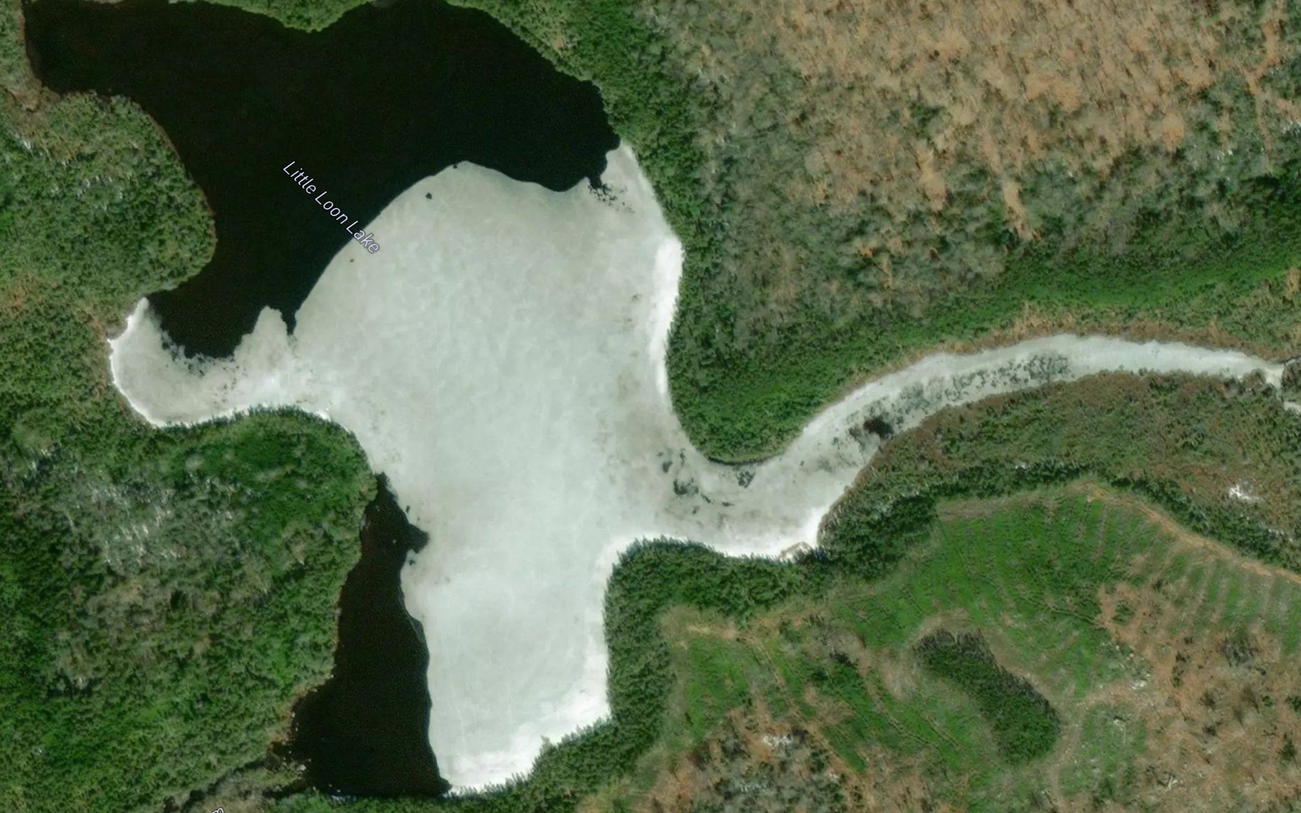 Little Loon Lake