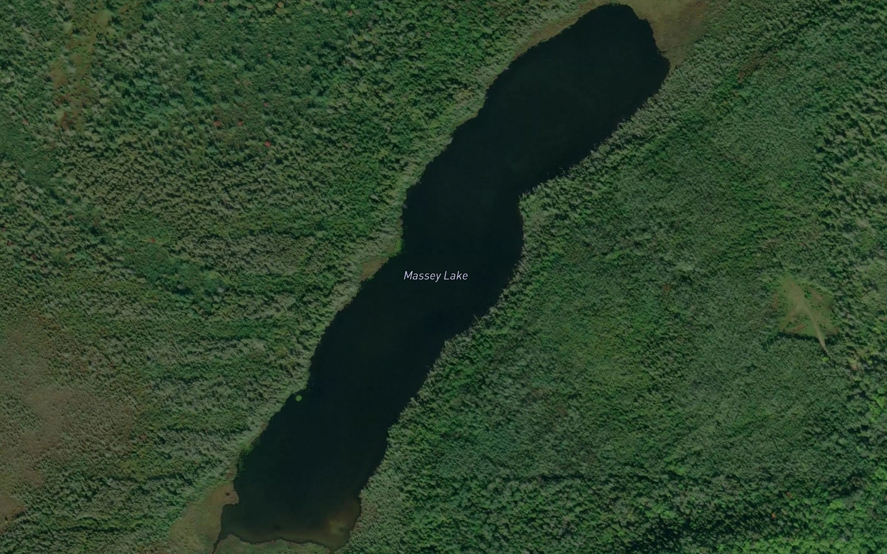 Satellite map of the Massey Lake